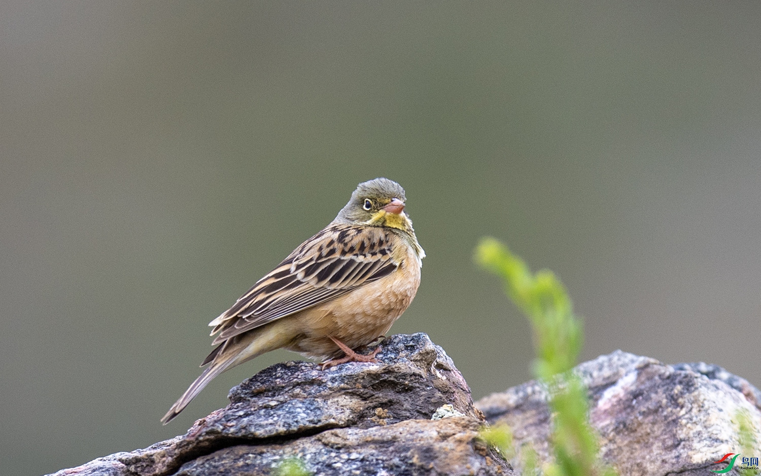 DSC_1747.jpg
