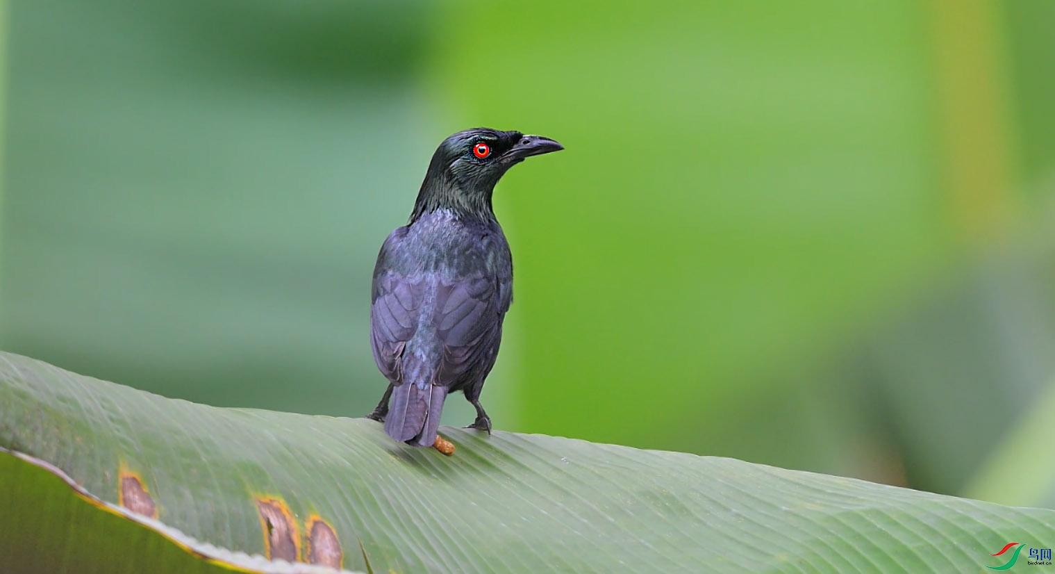 {AE71481A-7EAE-4B75-9820-3C32E06D0D74} ����.jpg