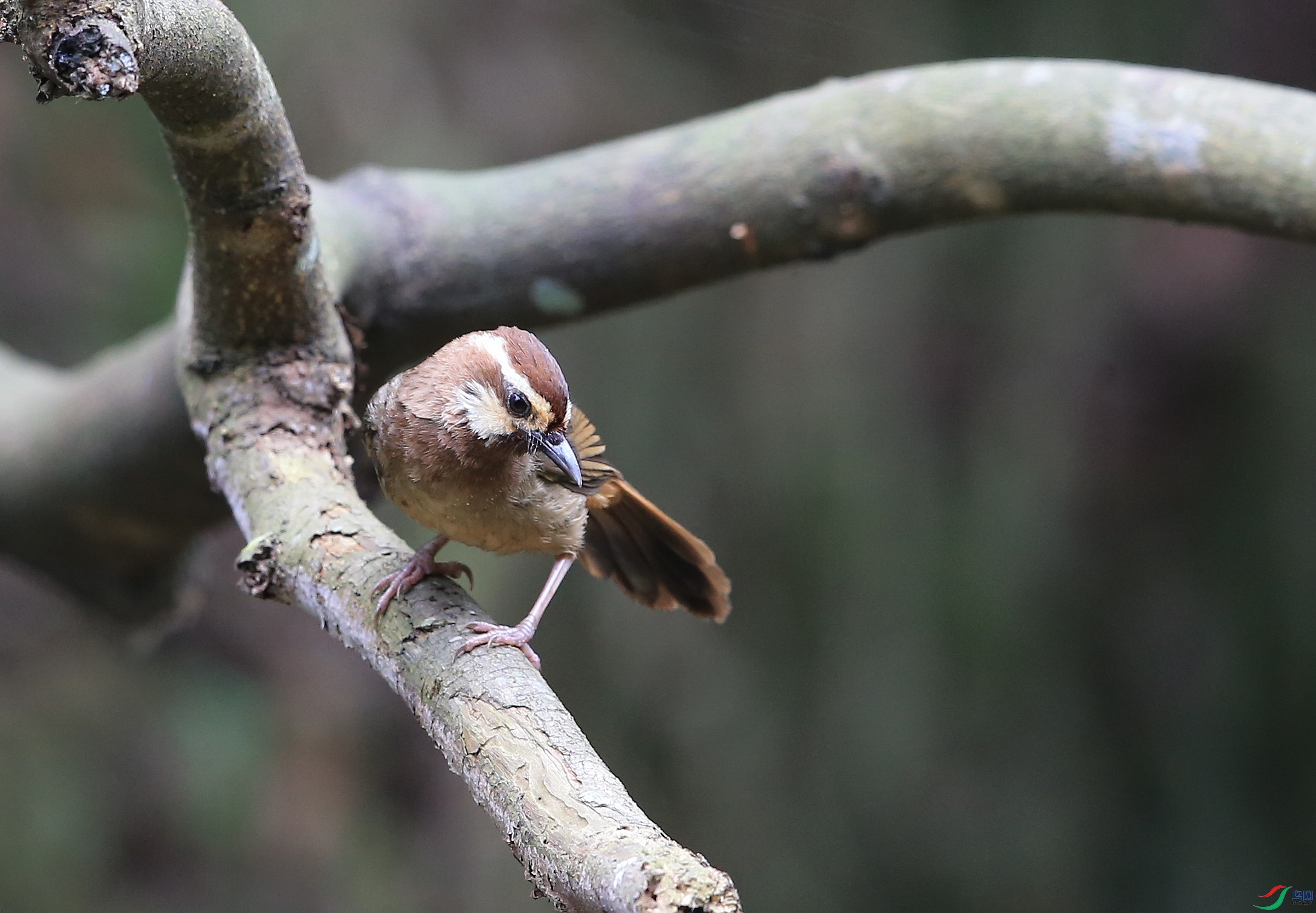 IMGL2424�� ��.JPG