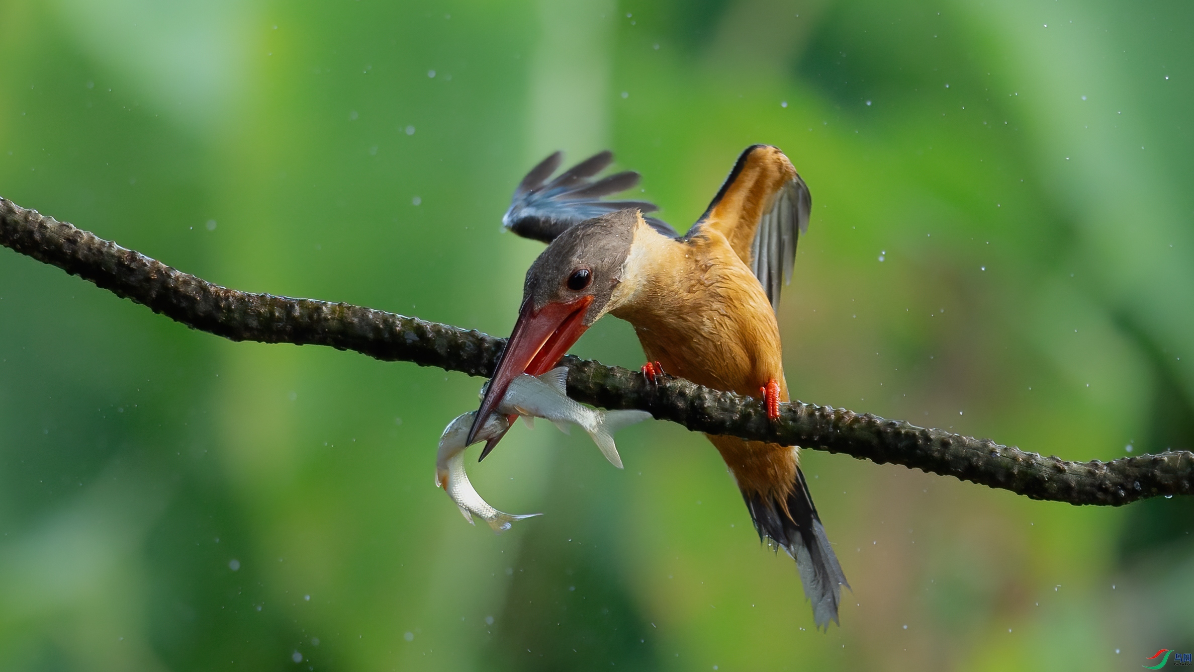 048A7592 ����.jpg