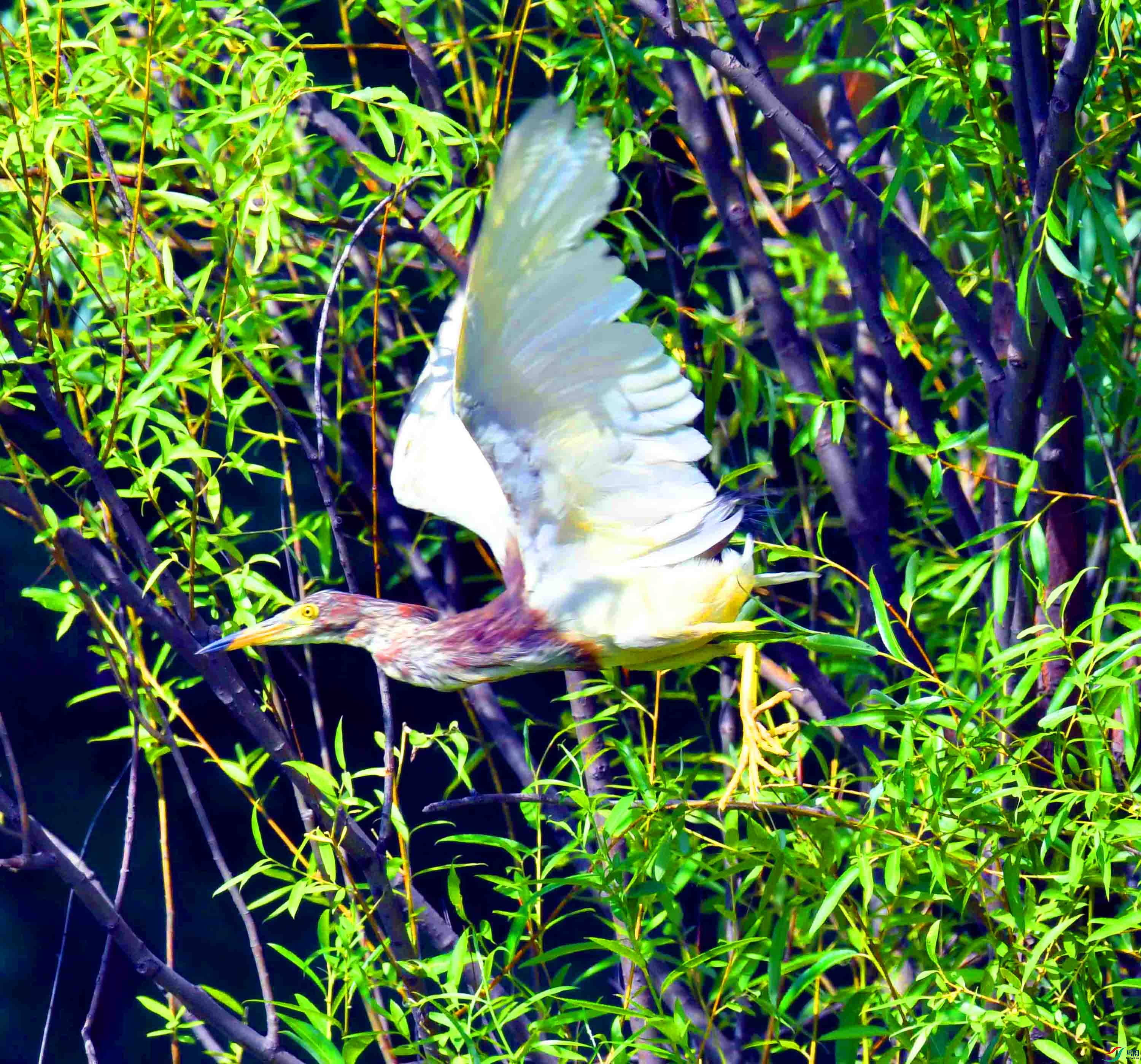 DSC_8117.JPG