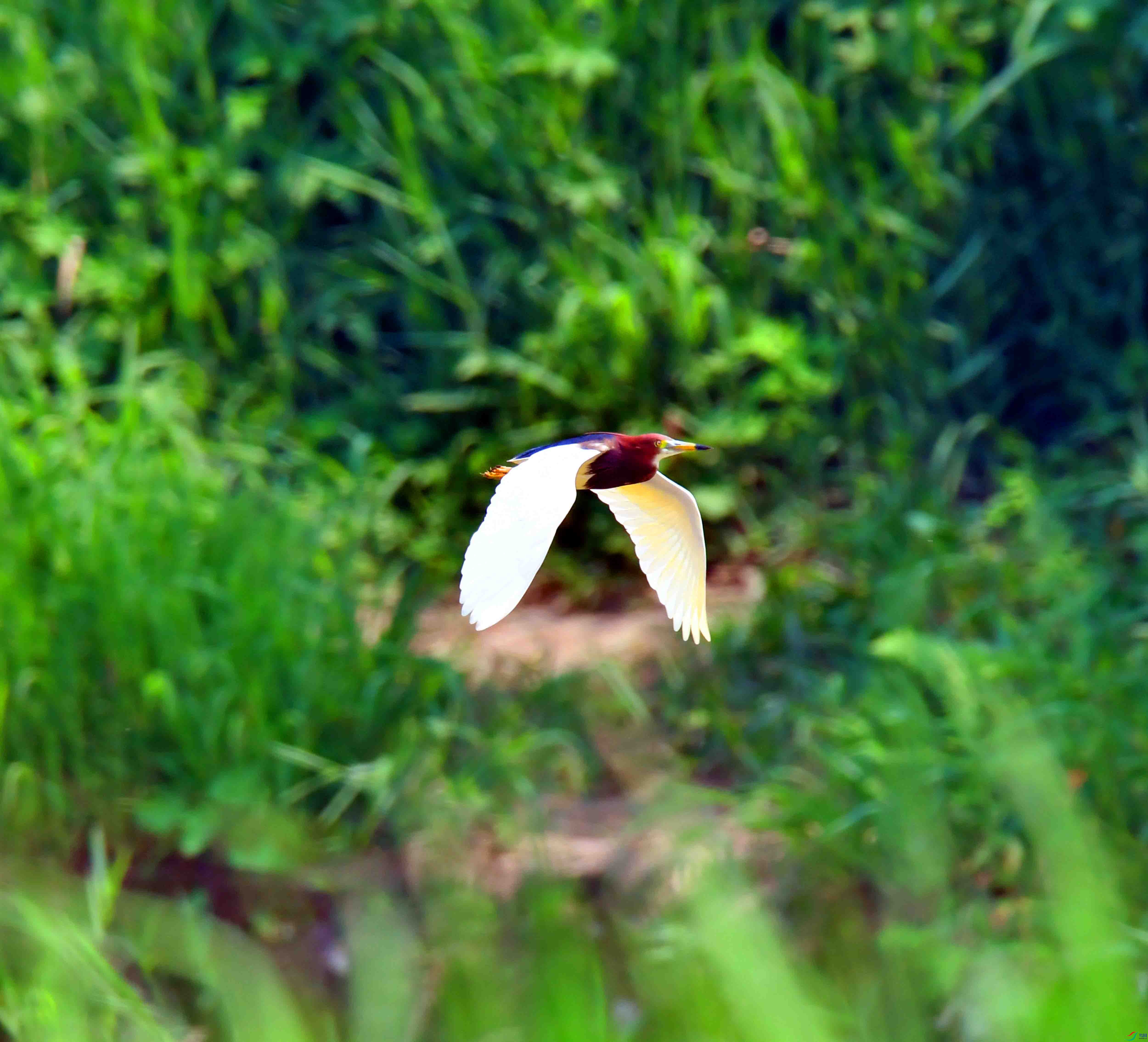 DSC_9865.JPG