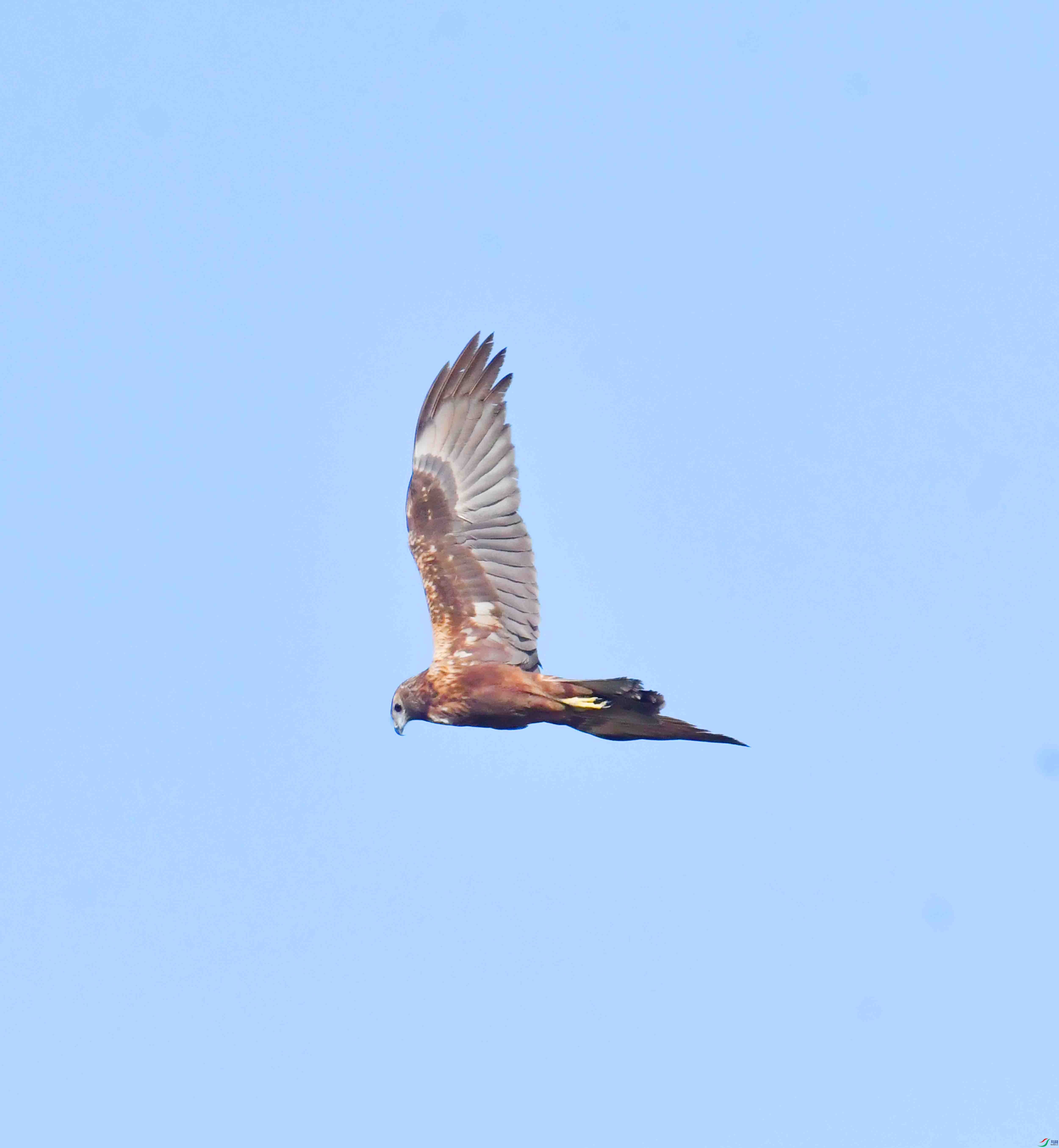 DSC_8196.JPG