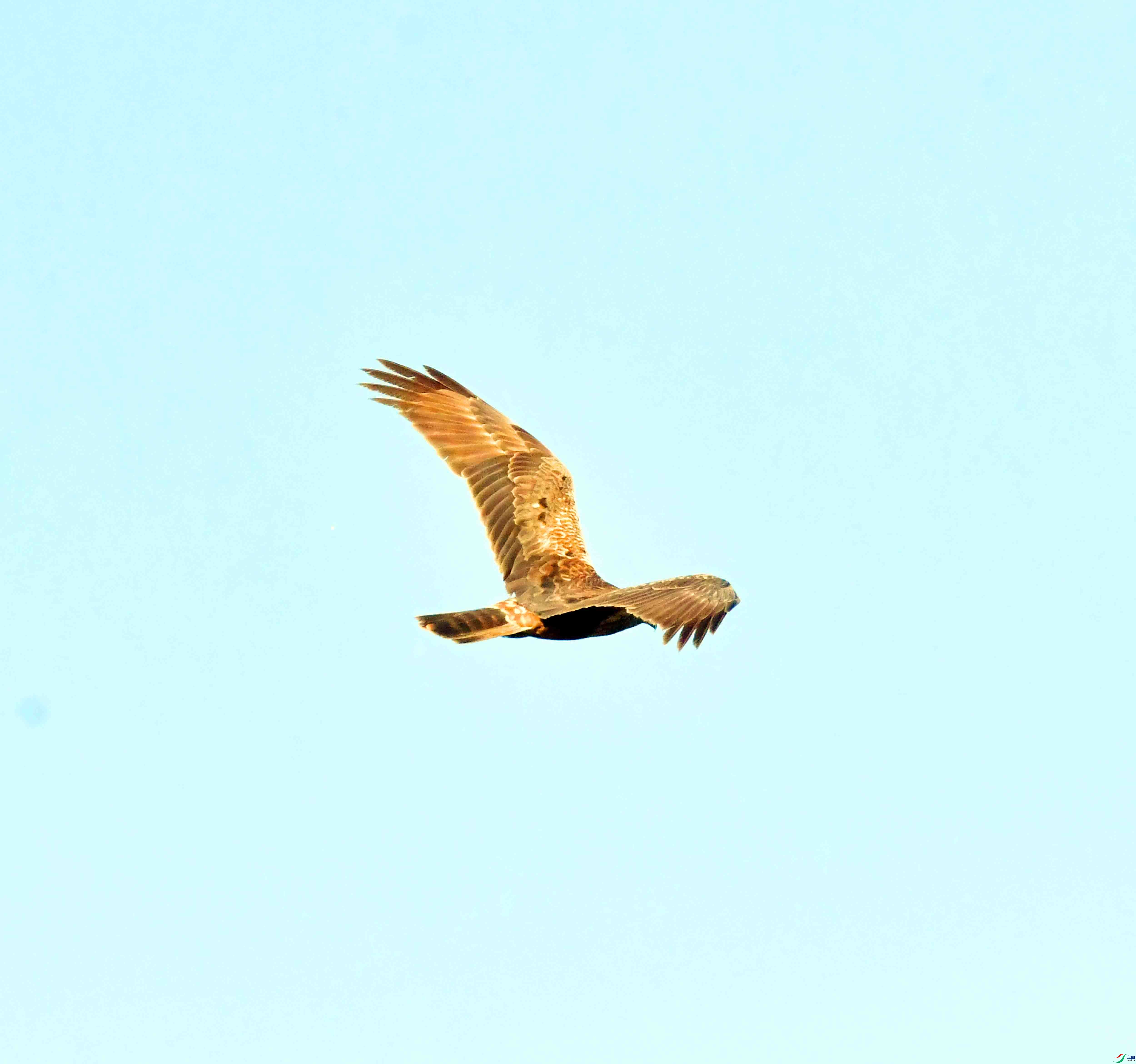 DSC_8197.JPG