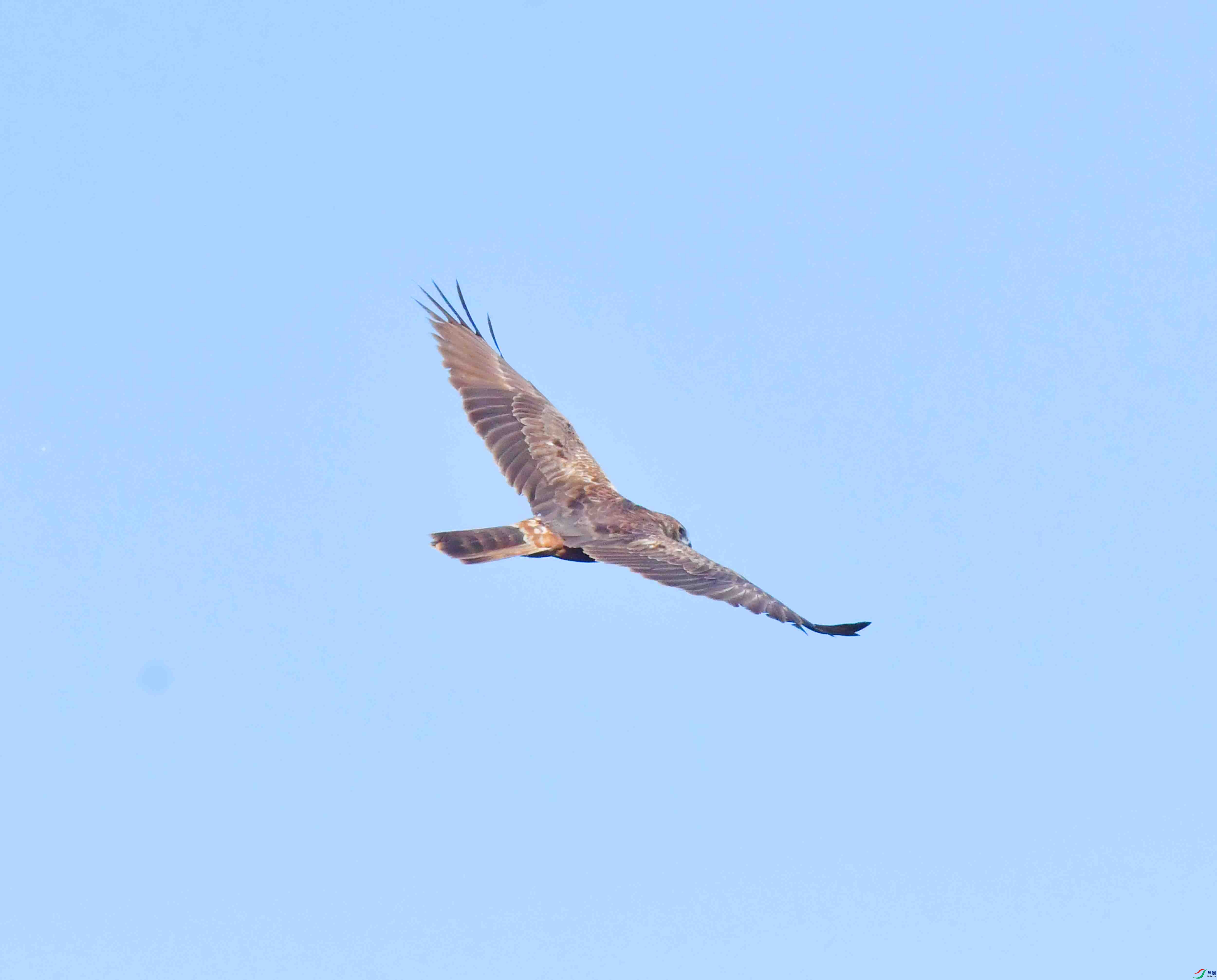 DSC_8198.JPG
