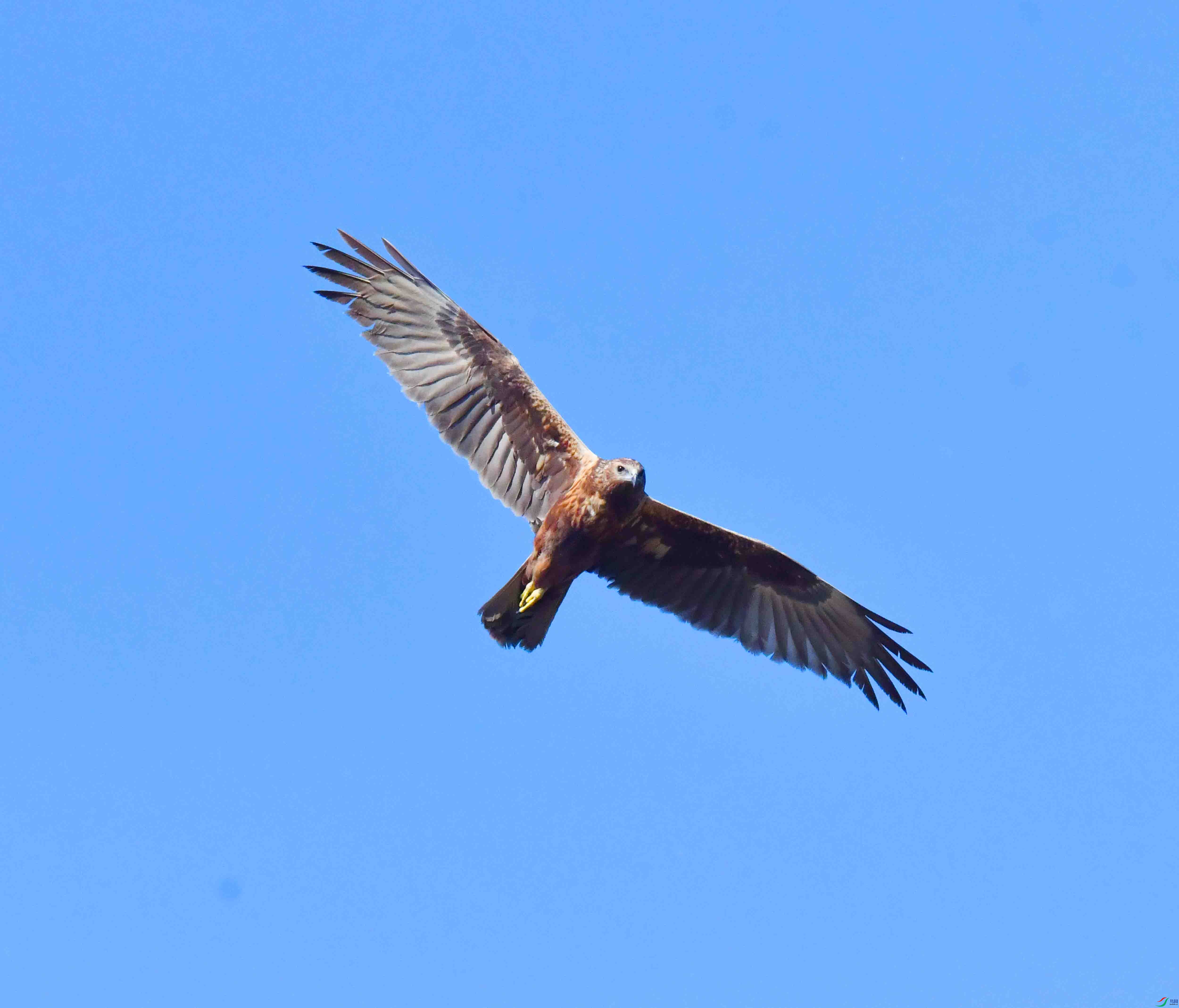 DSC_8224.JPG