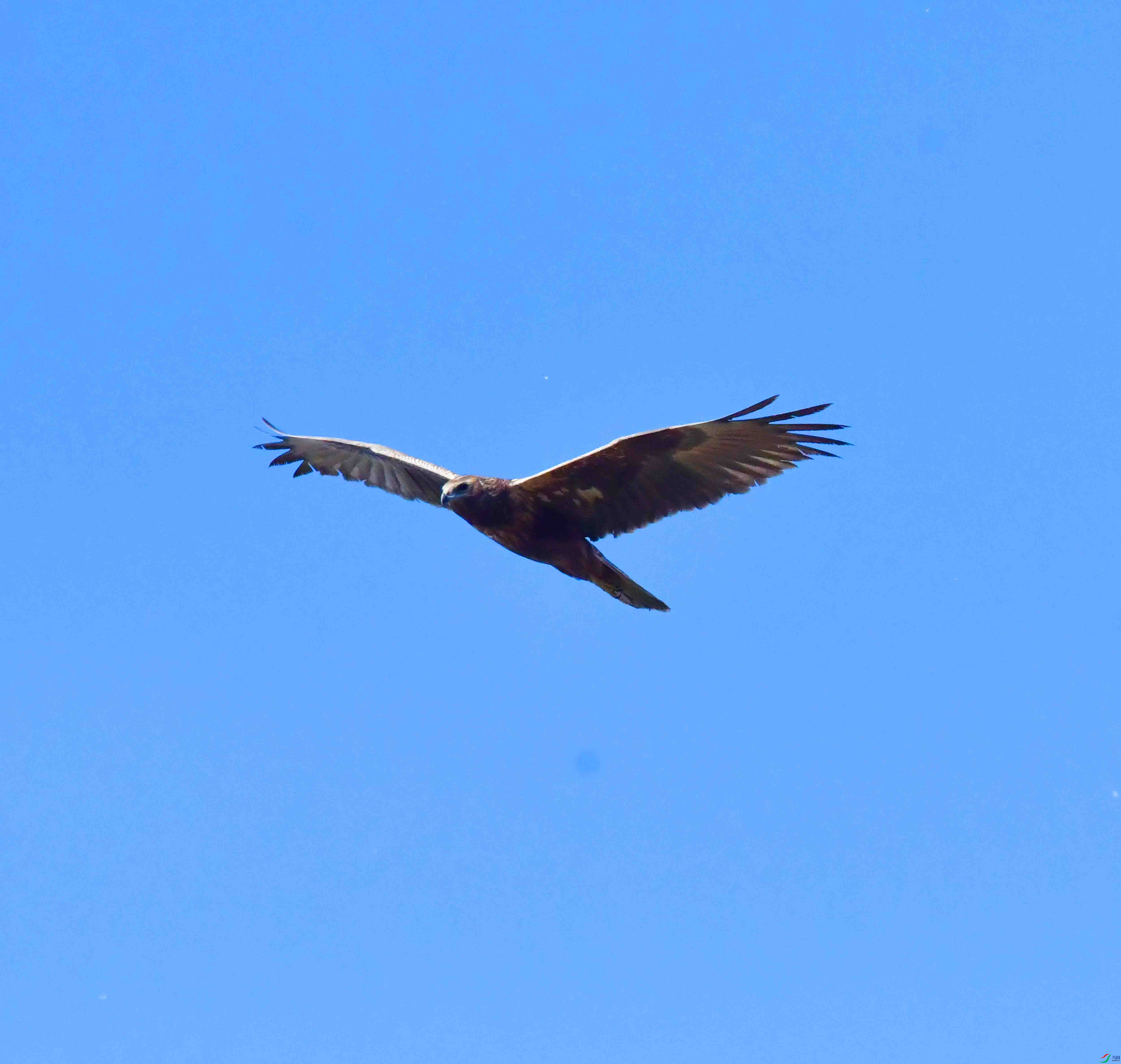DSC_8239.JPG