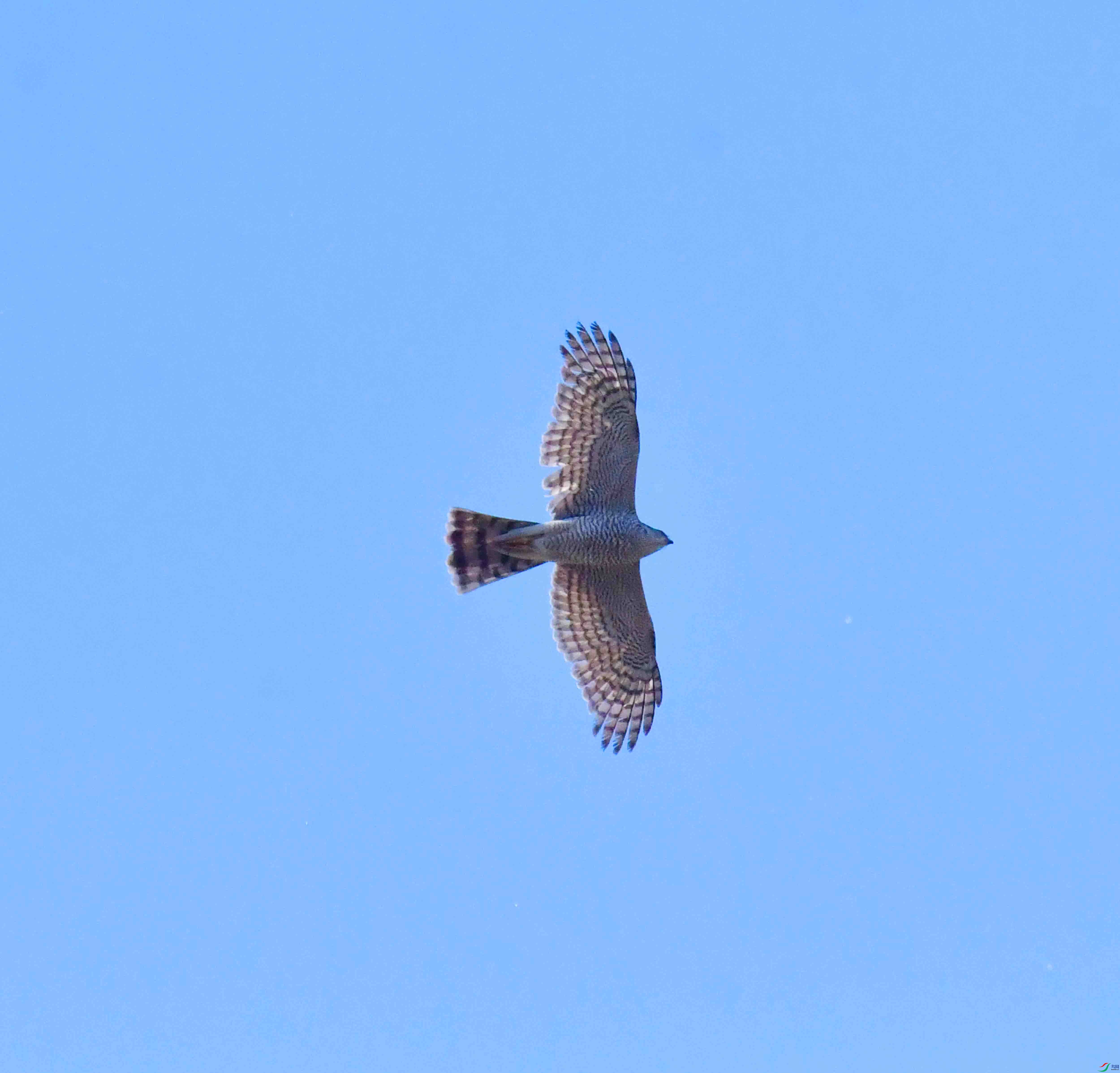 DSC_8266.JPG
