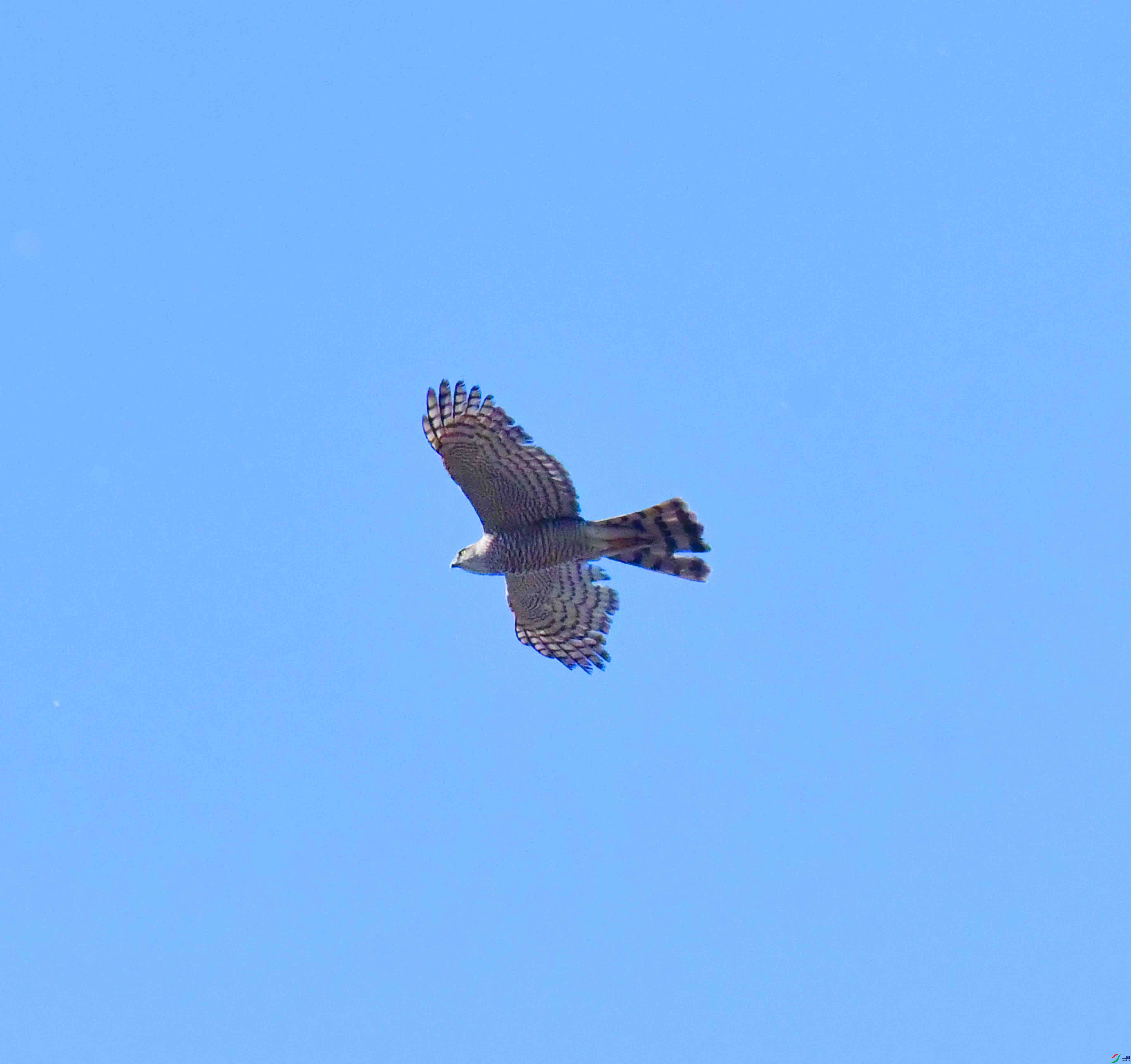 DSC_8255.JPG