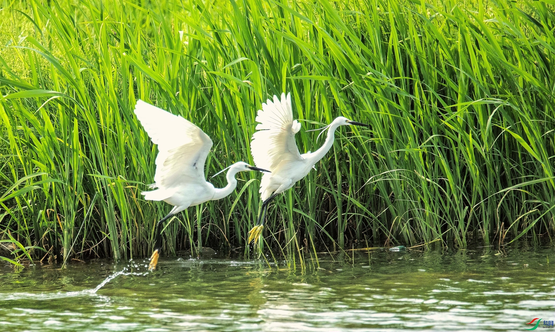 ����ӱ߲� �ݳ��ط�.jpg