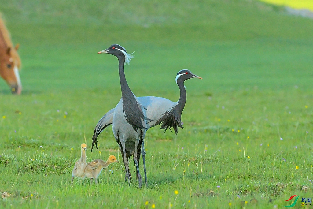 DSC_7943-1.jpg