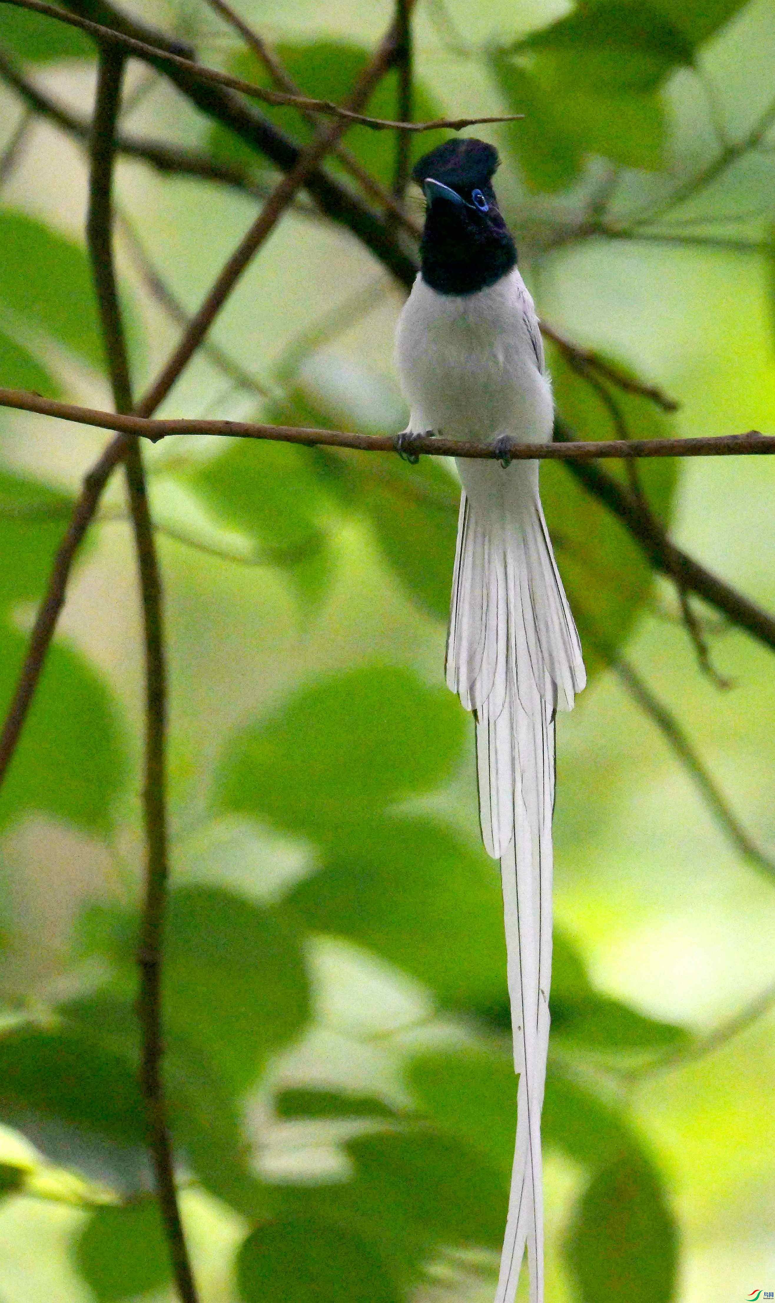 DSC_9518.jpg