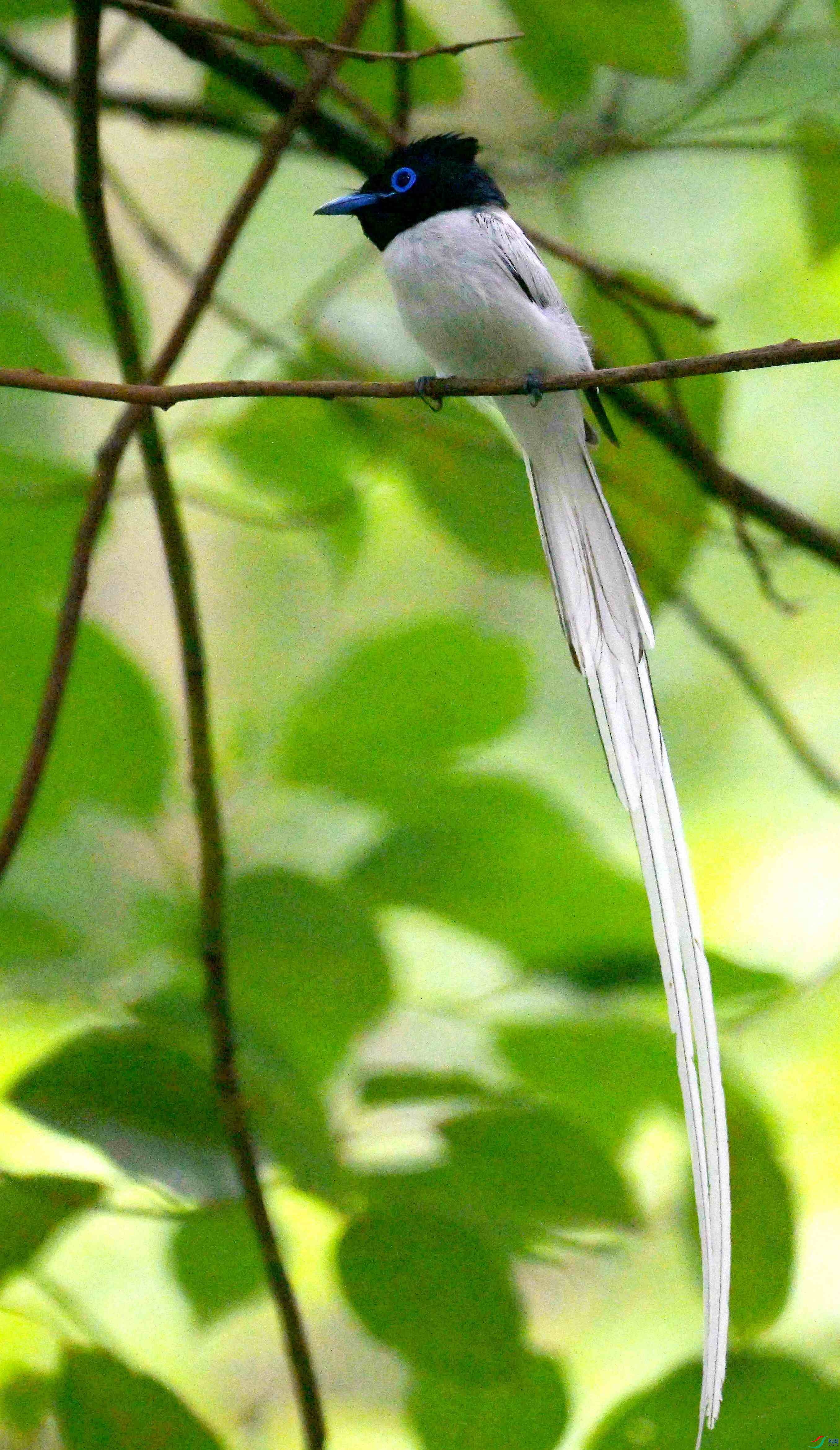 DSC_9535.jpg