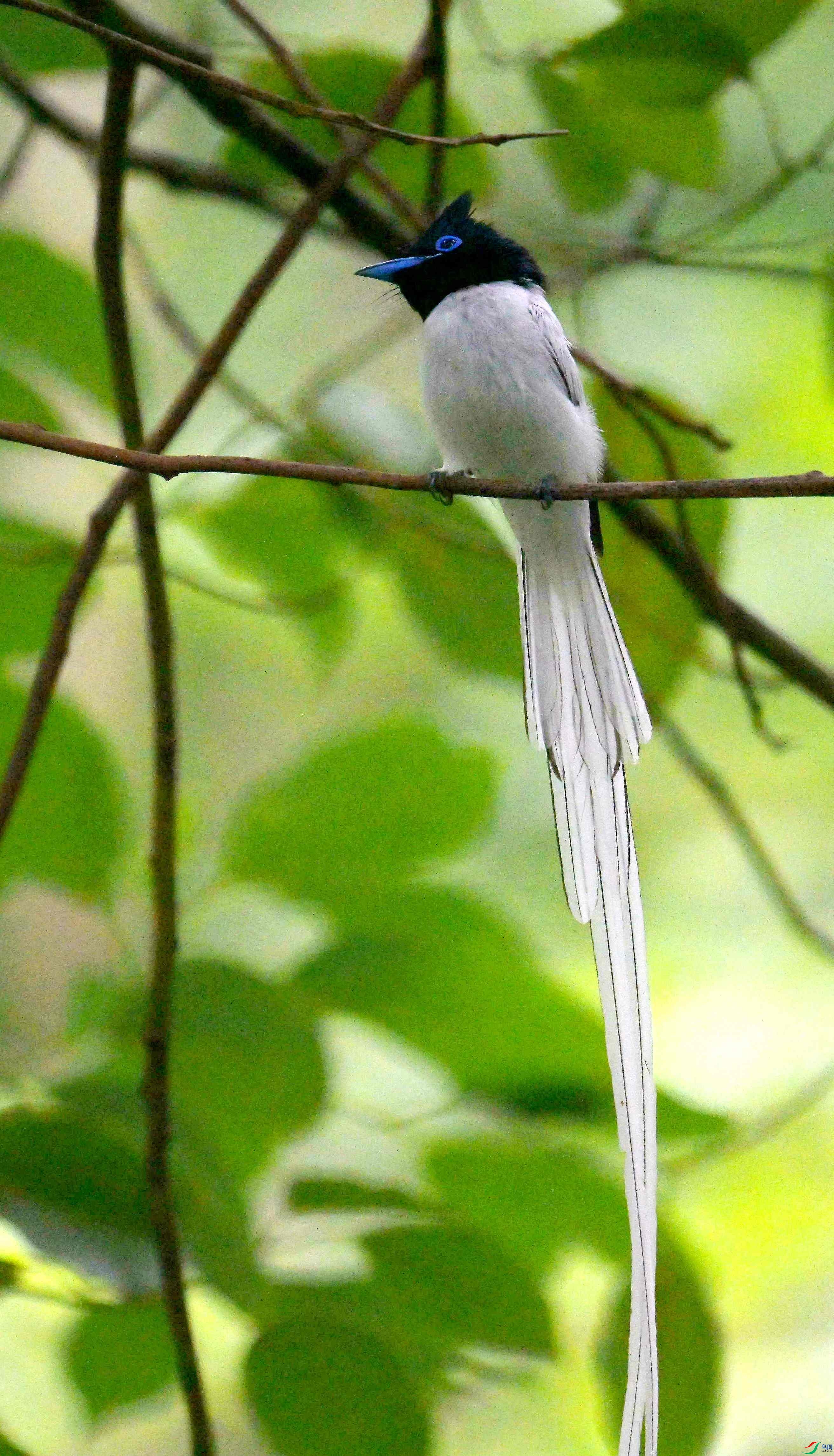 DSC_9526.jpg