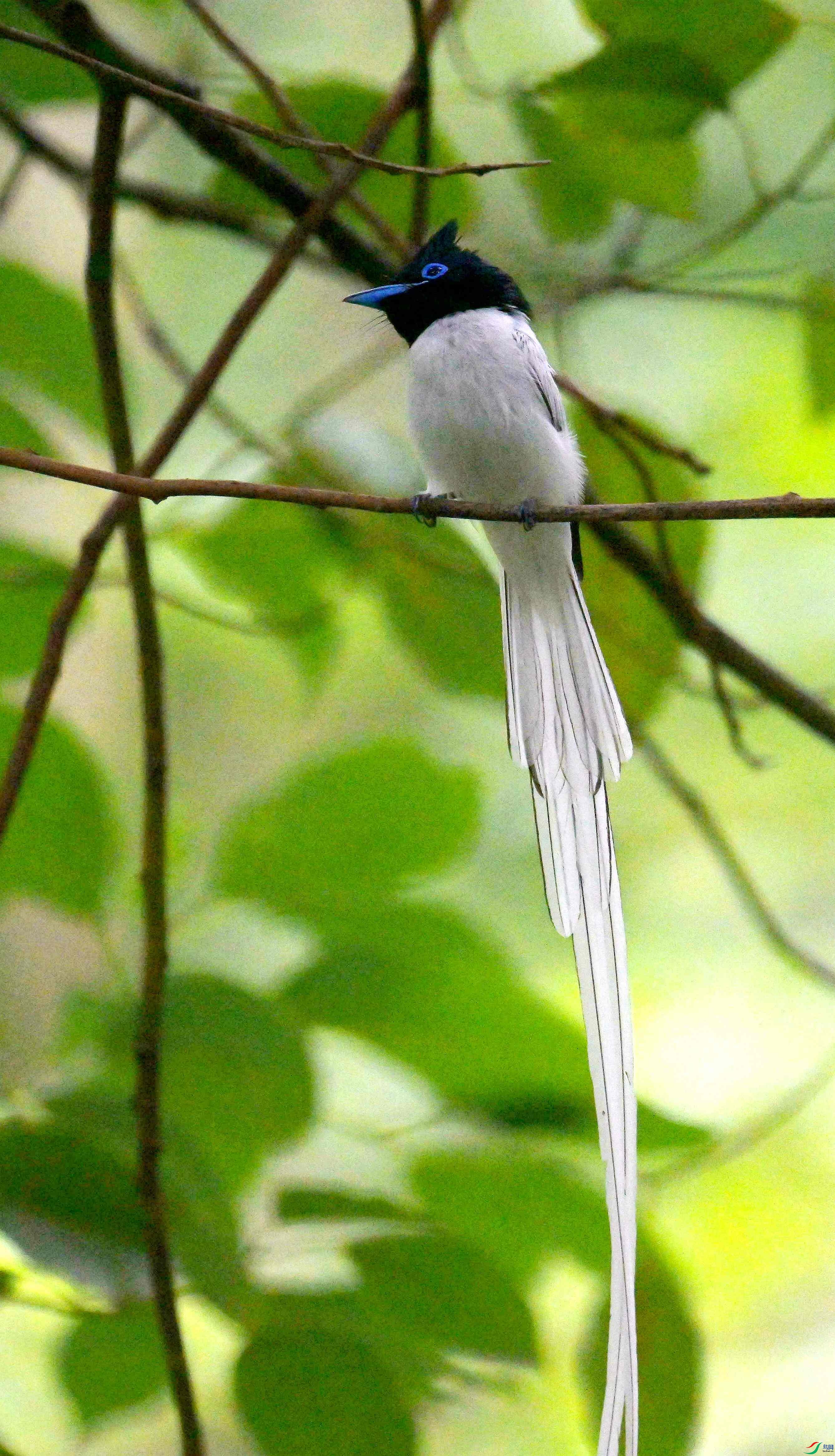 DSC_9525.jpg
