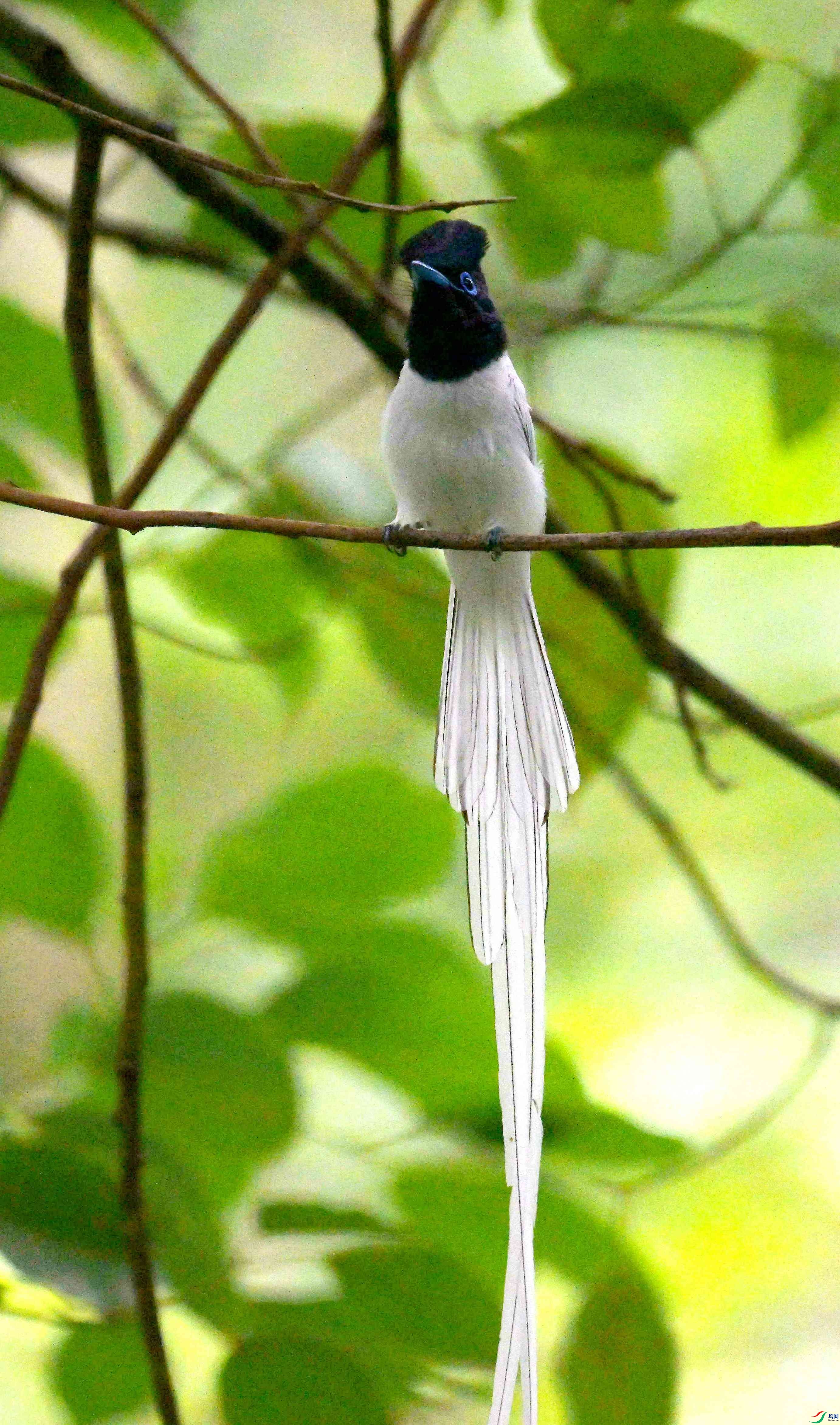 DSC_9521.jpg