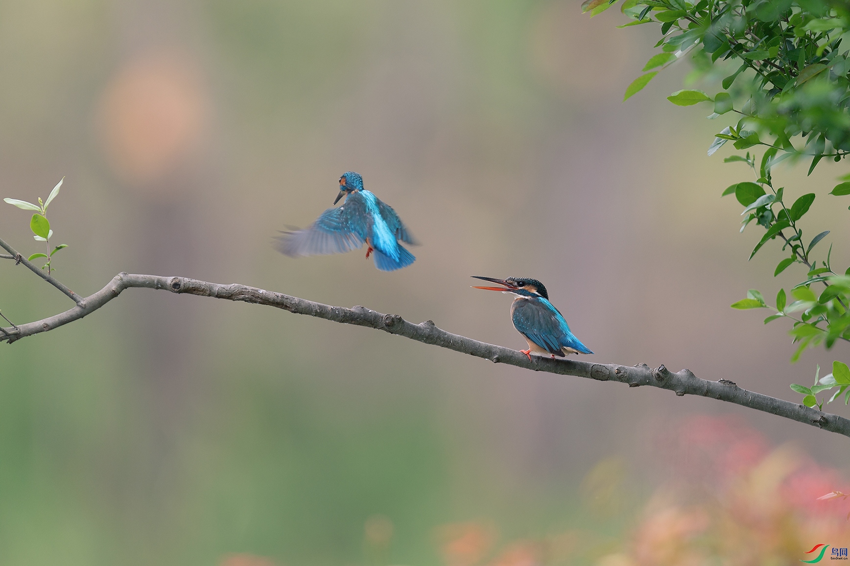 DSC_5120_DxOa.jpg