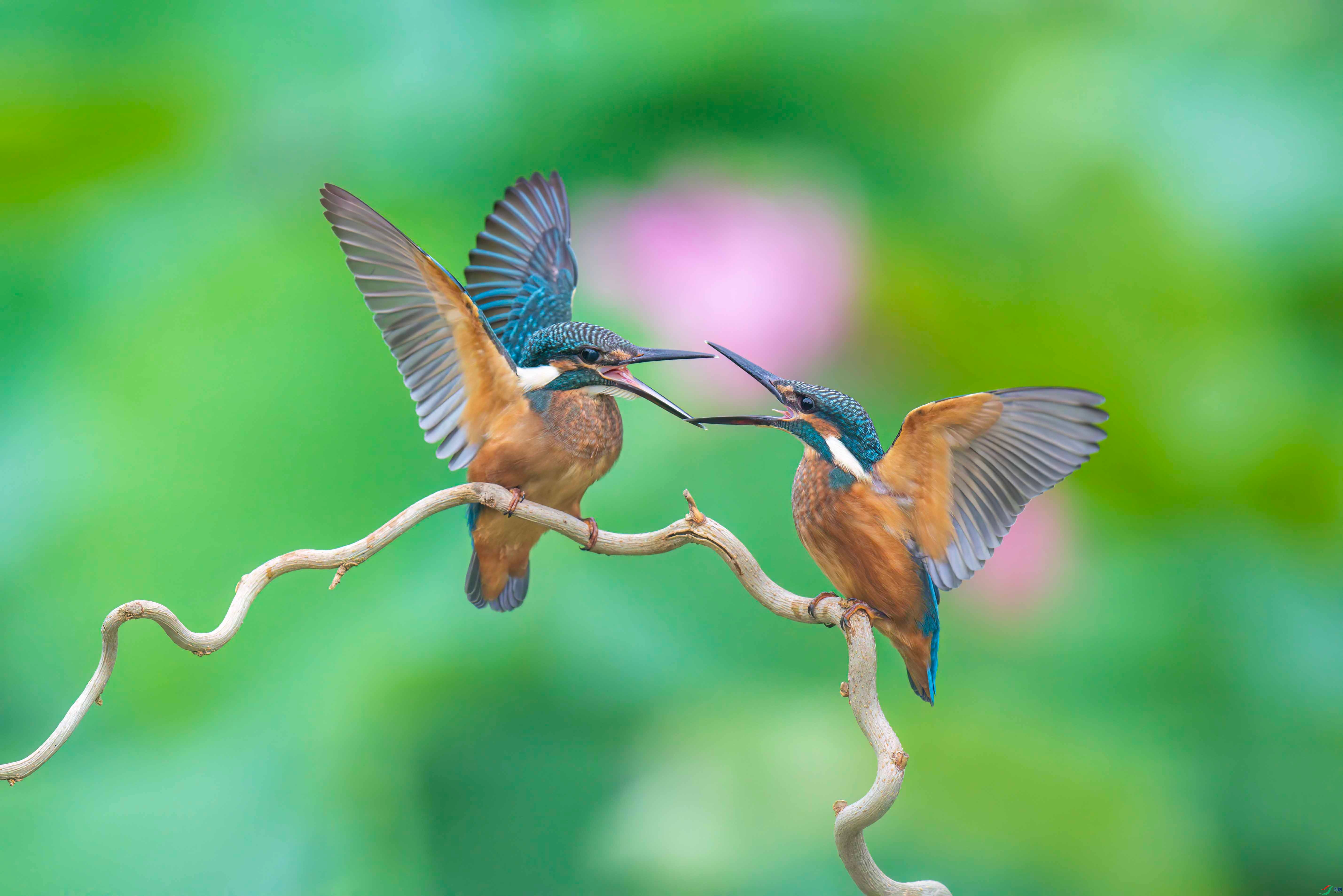 3E8A2265 ��������_����.jpg