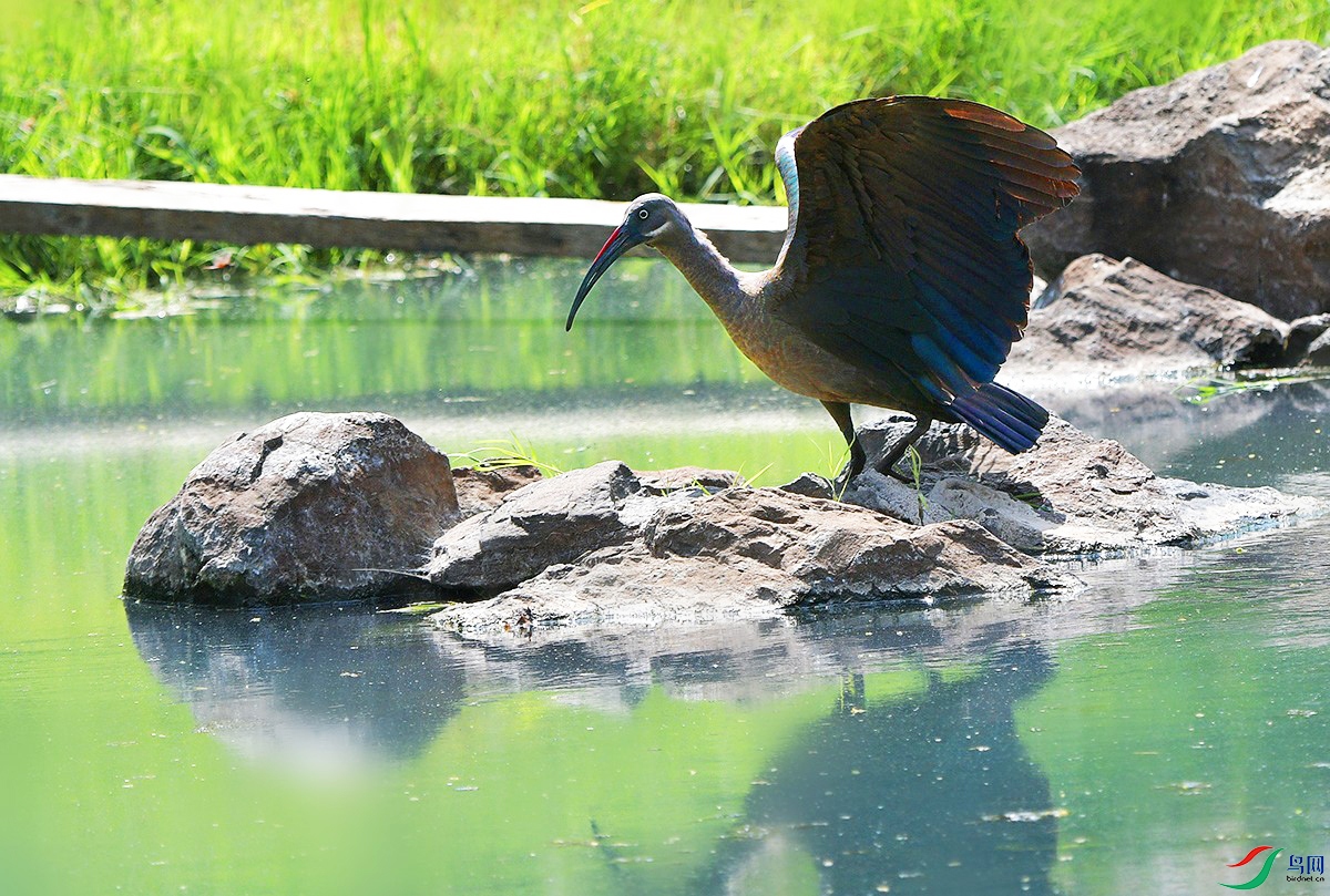 DSC_0606_.jpg