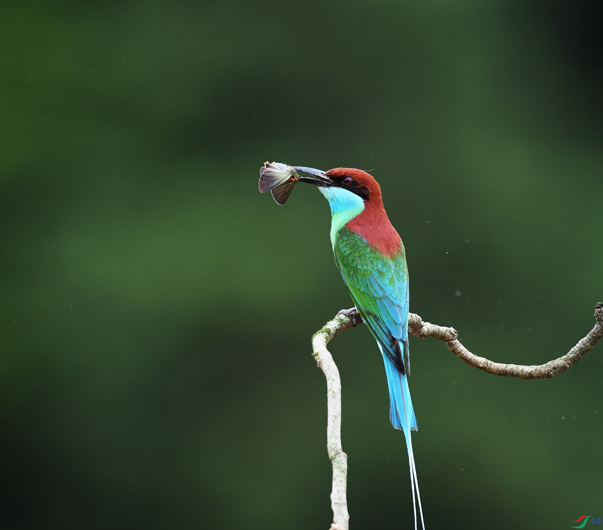 DSC_7051.jpg