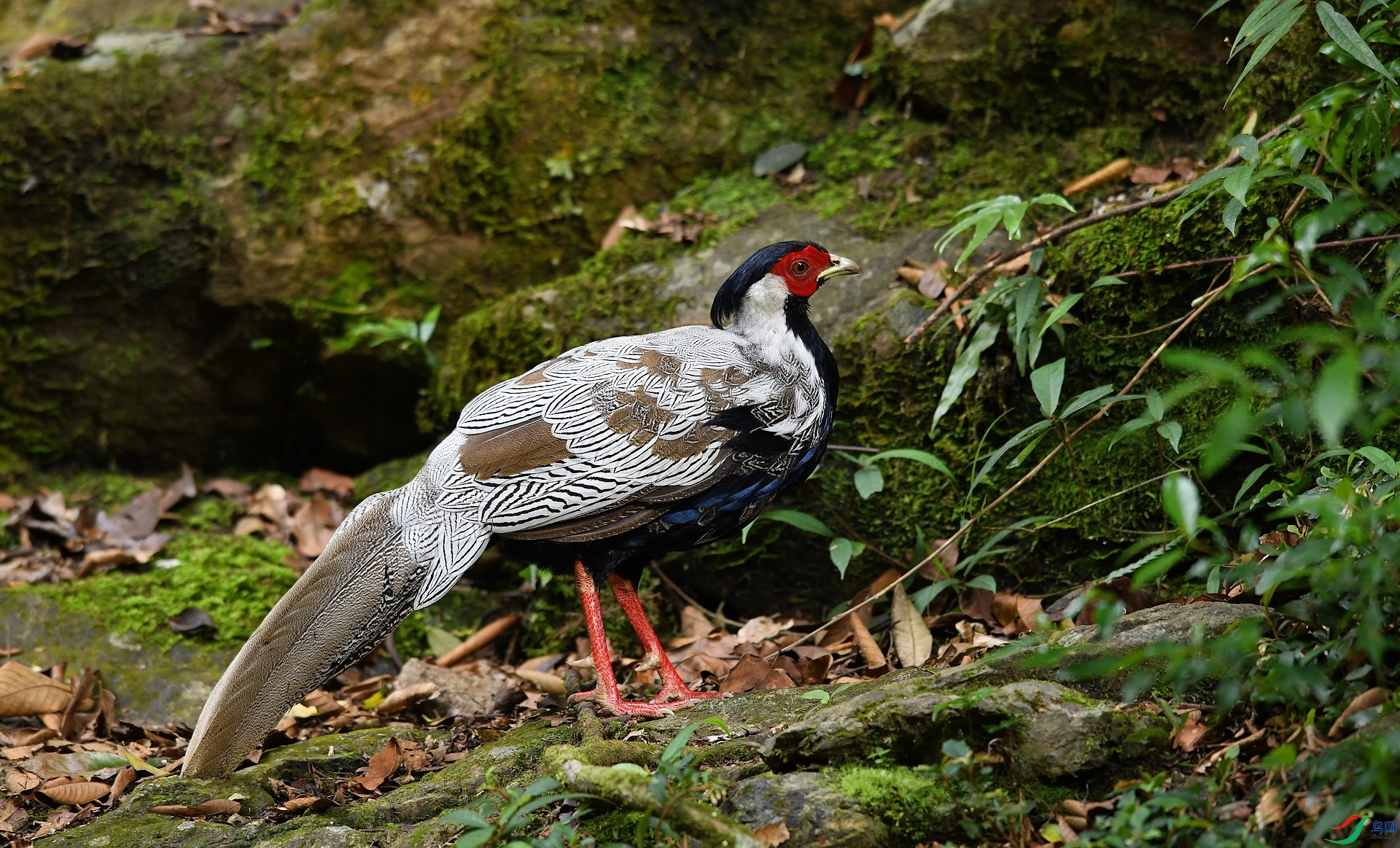 DSC_6872.jpg