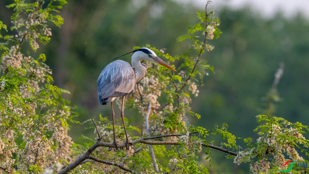 DSC_2293.jpg