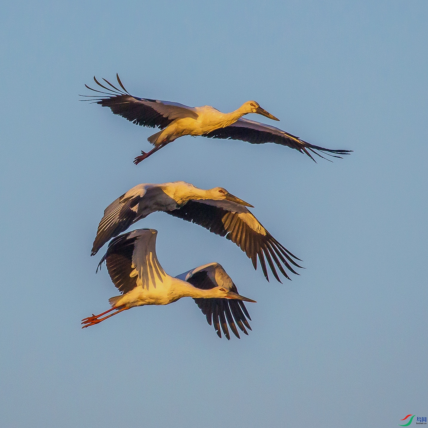 _MG_2968 ����.jpg