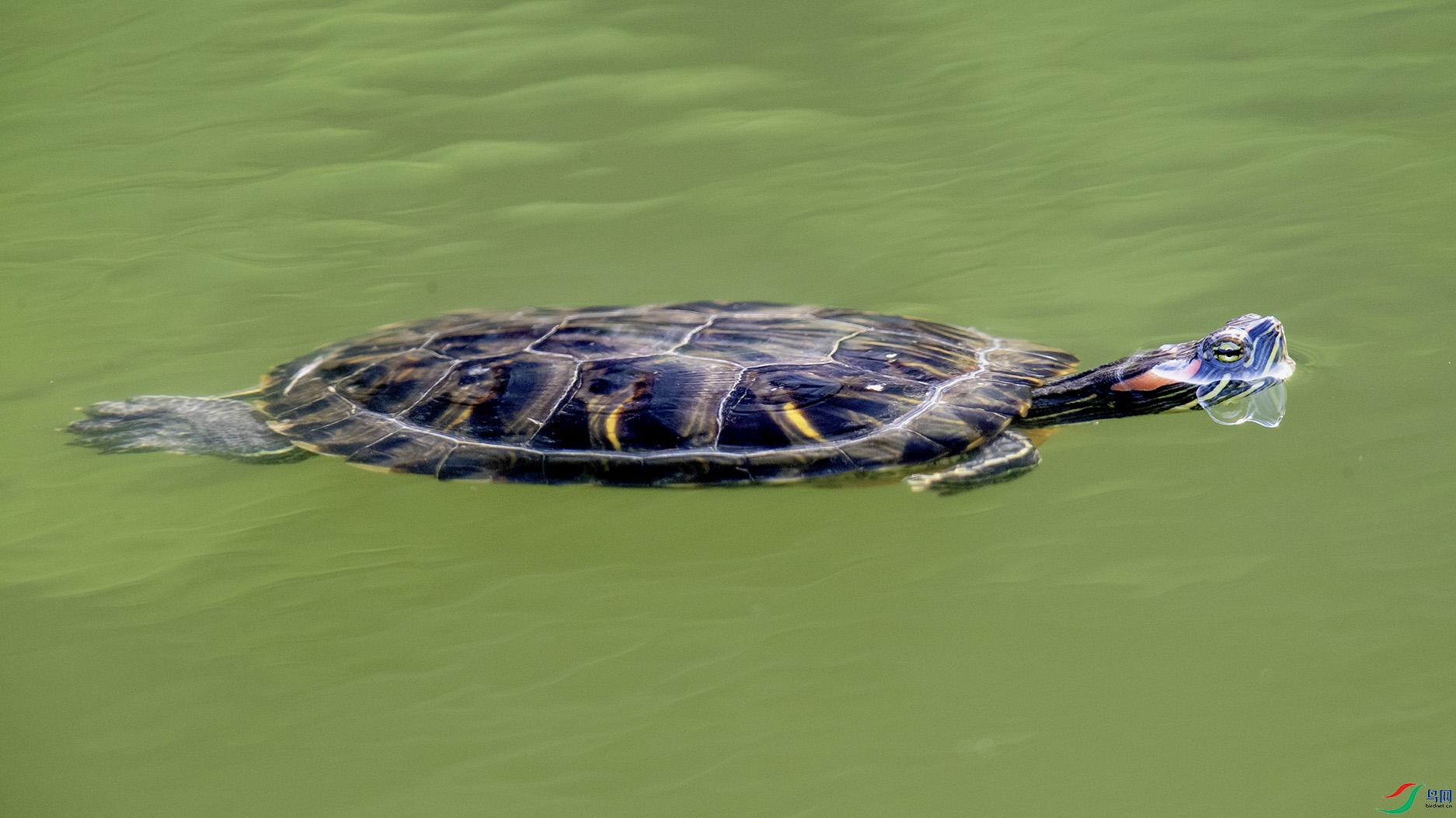 _90I0137 ���� 2.jpg