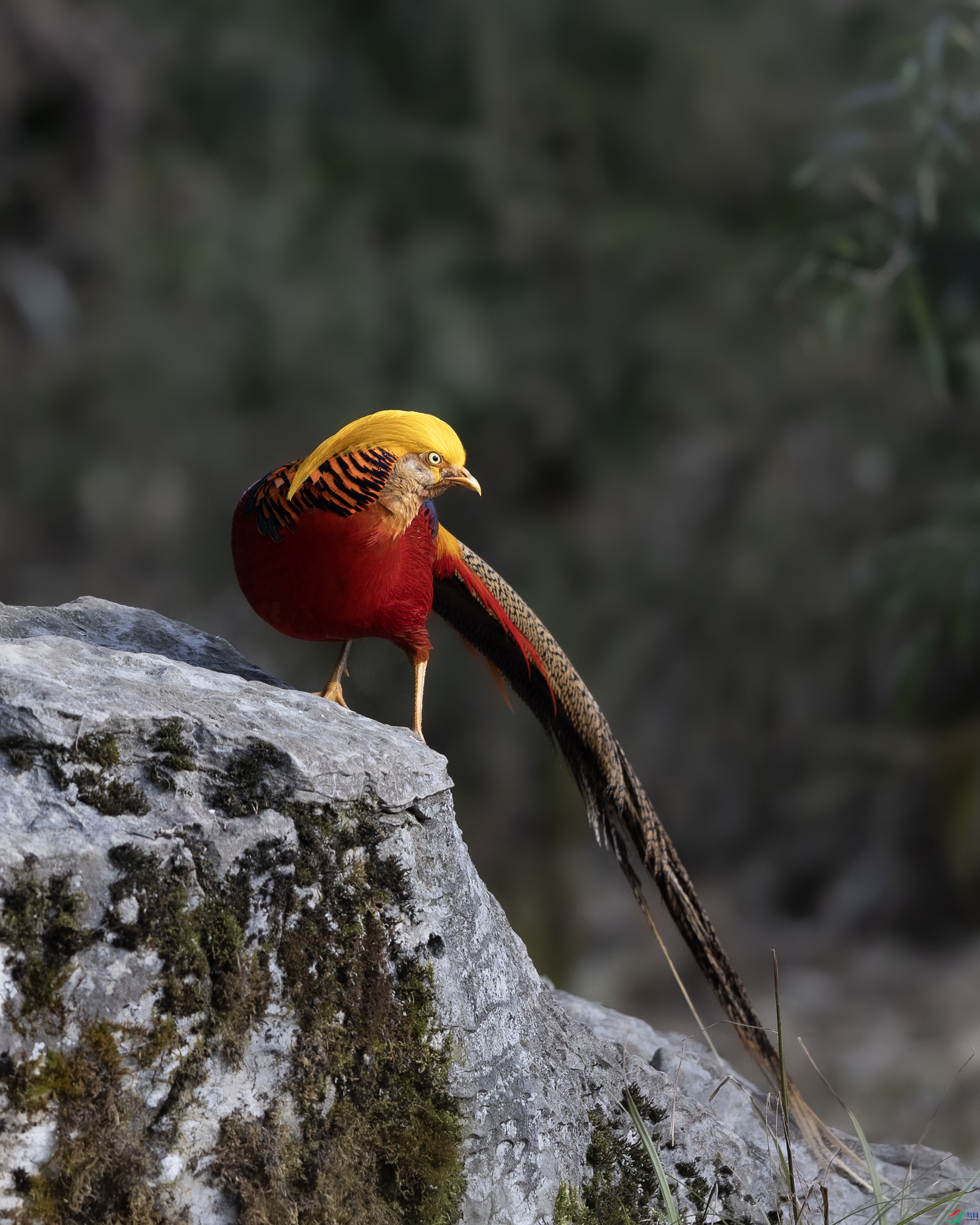 _O7A9991 ����.jpg