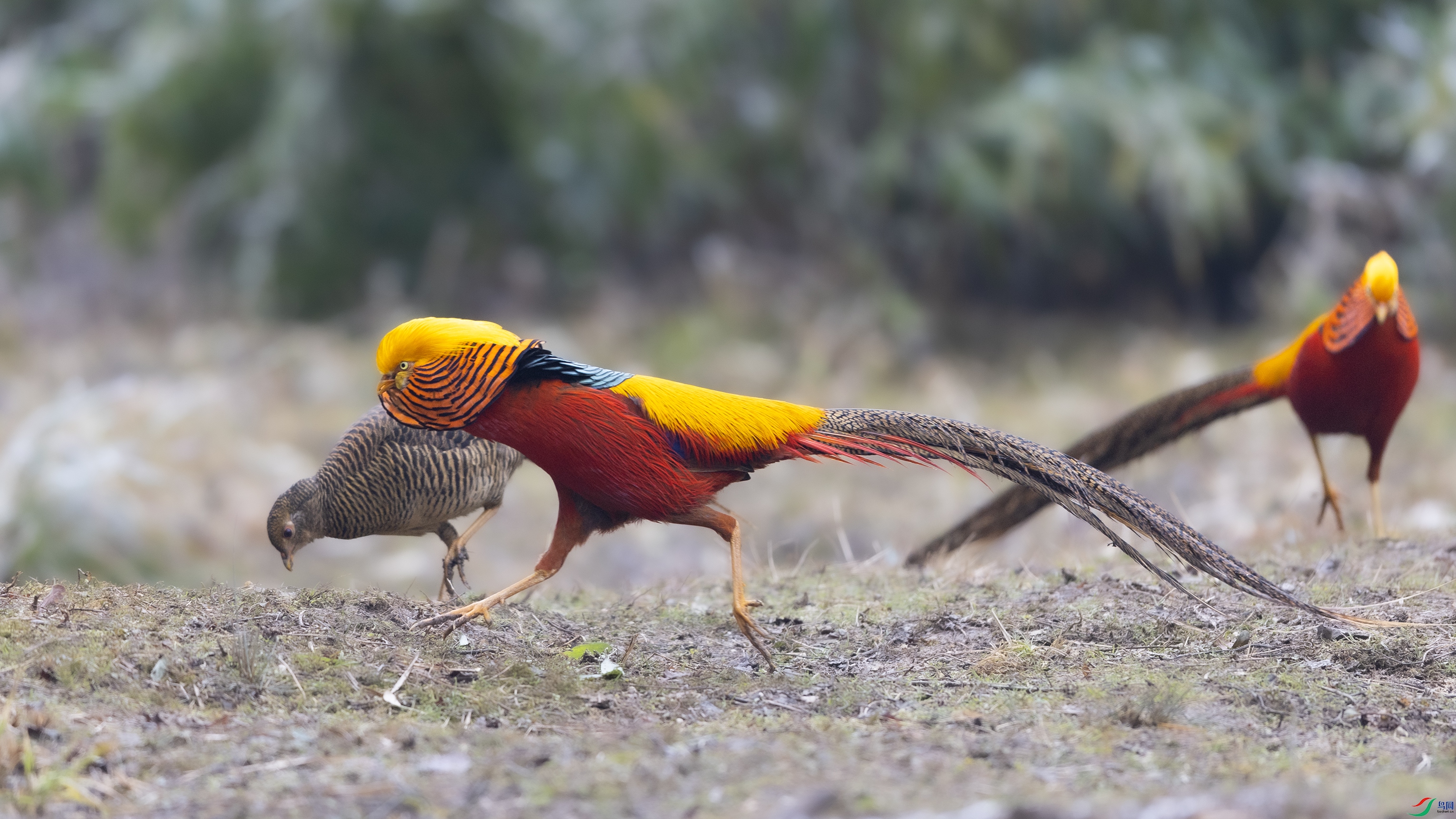 _O7A9329 ����.jpg