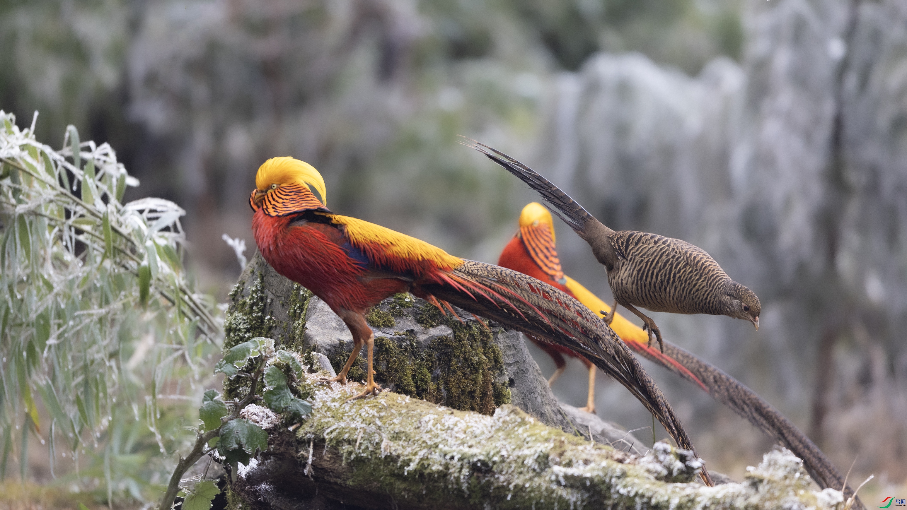 _O7A9314 ����.jpg