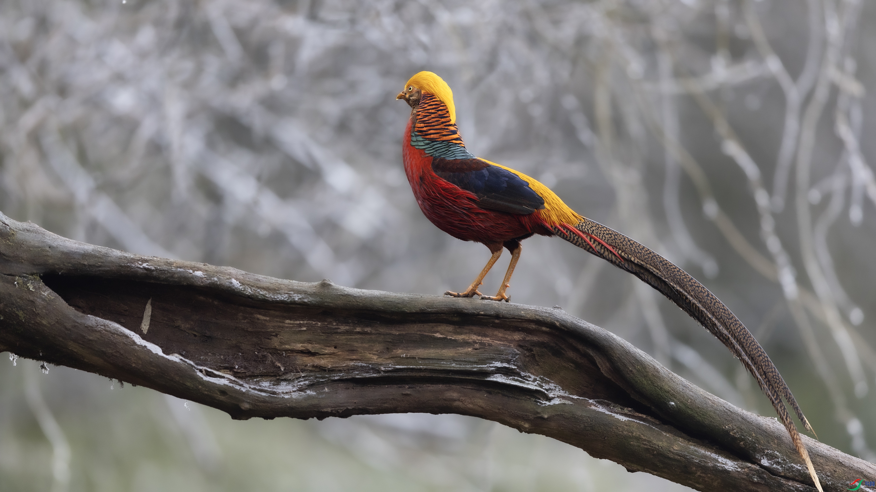 _O7A8878 ����.jpg