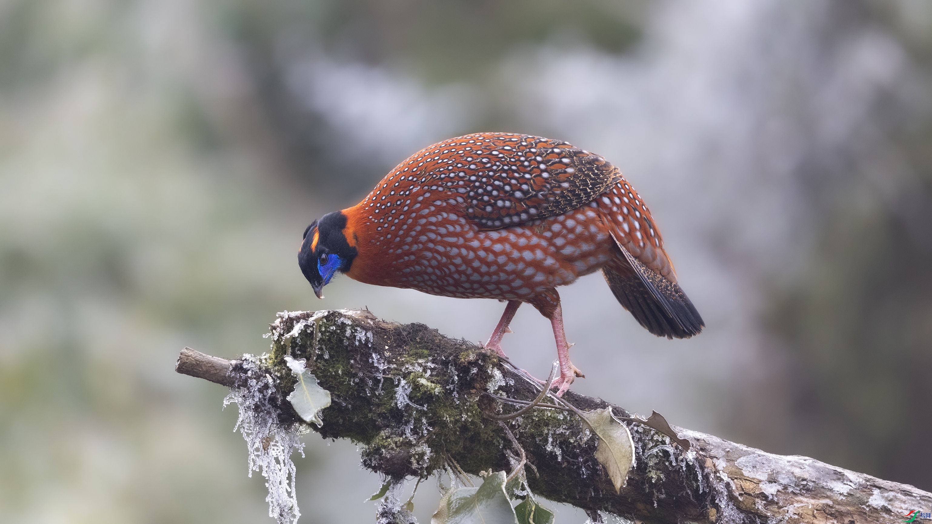 _O7A9263 ����.jpg