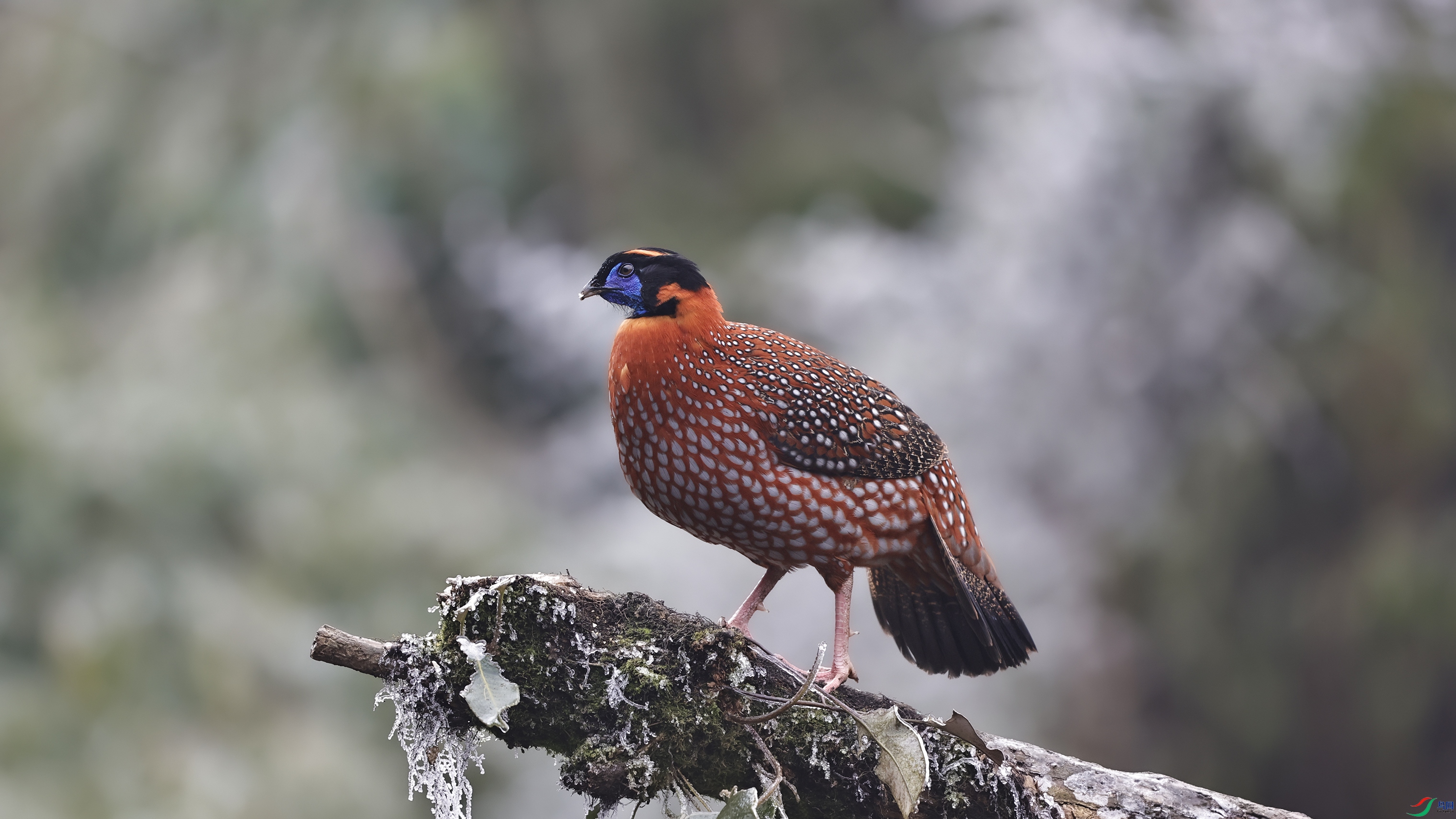 _O7A9253 ����.jpg