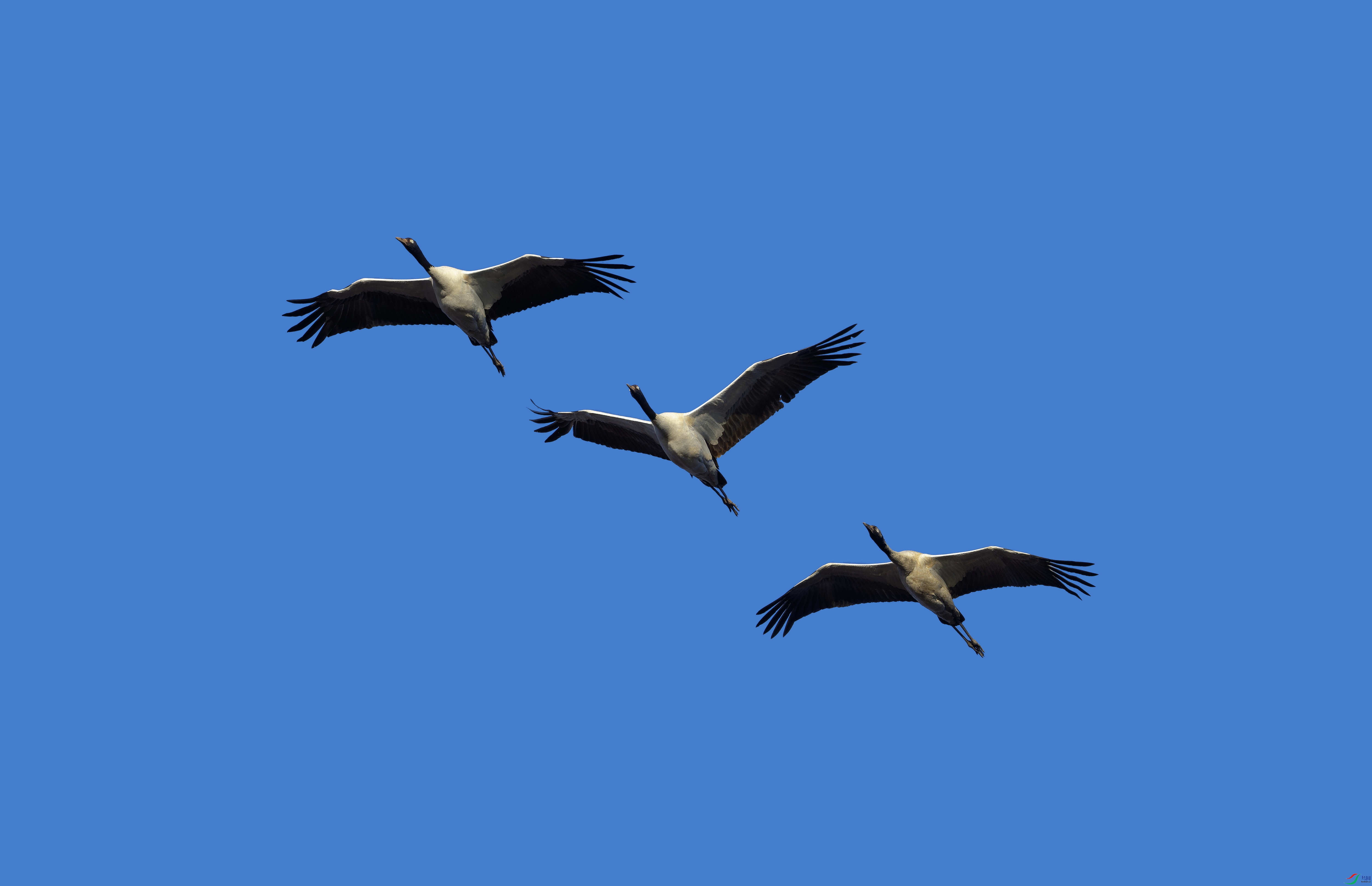 �ھ��� (5)-1.jpg