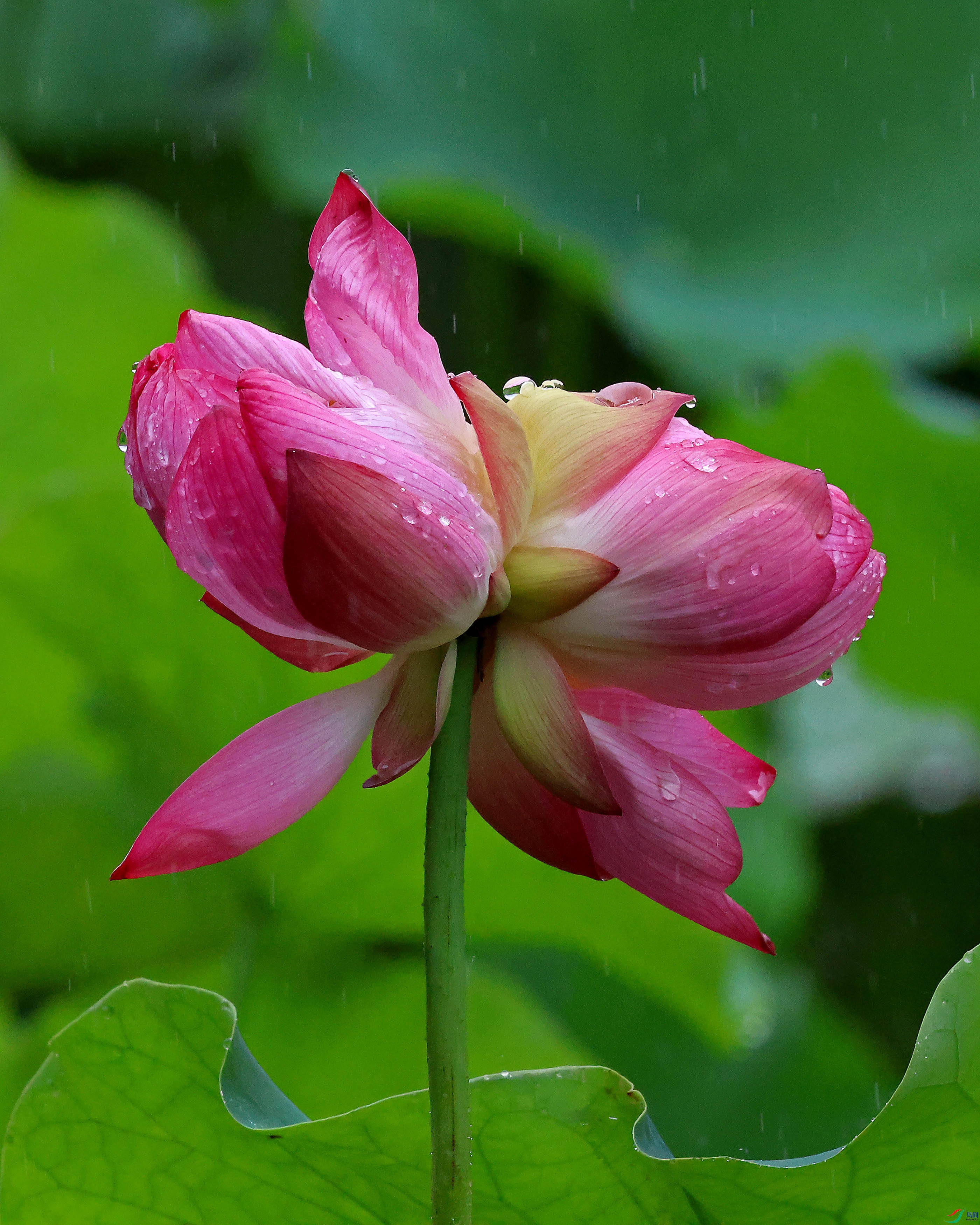 2G9A5044.JPG