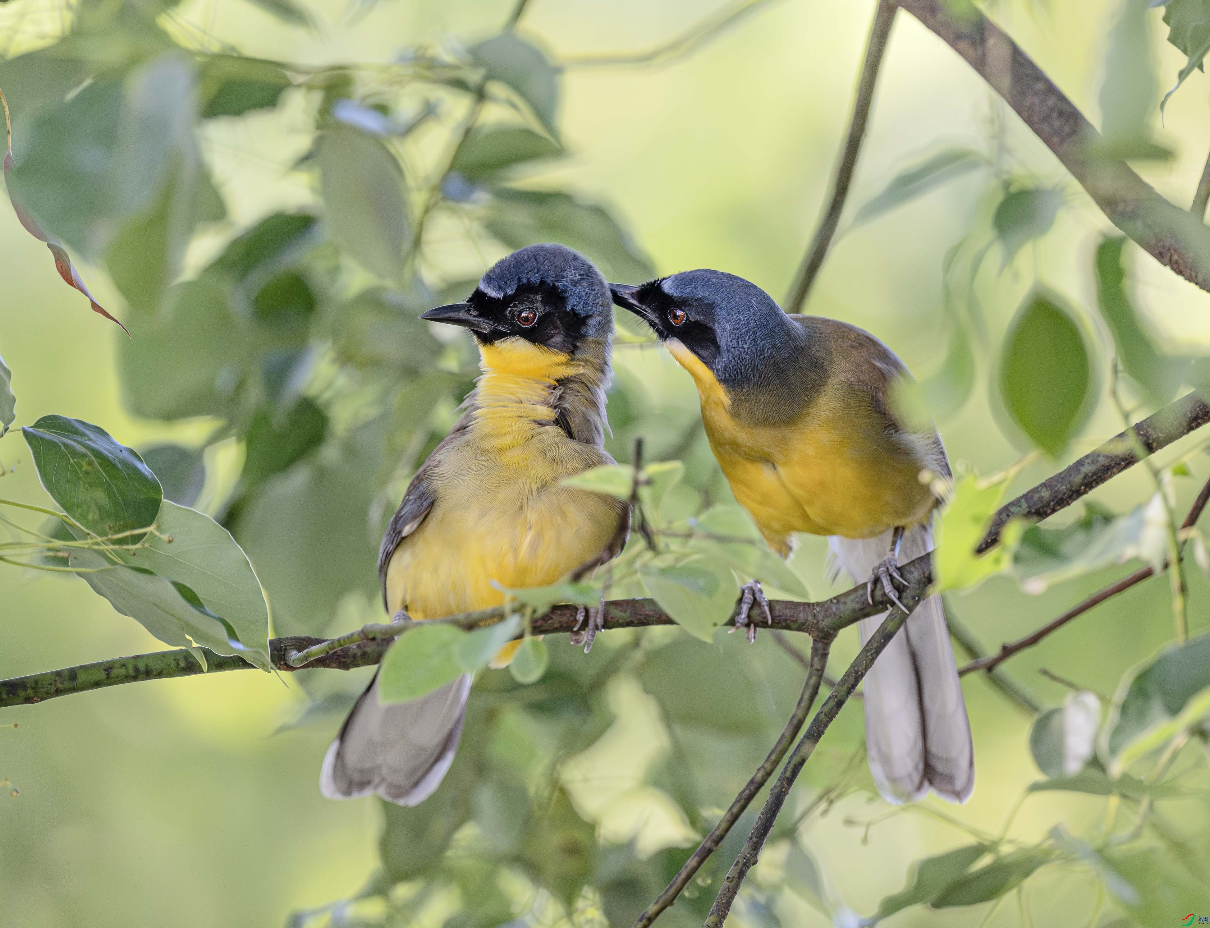 DSC_5101-����ǿ-NR ����.jpg