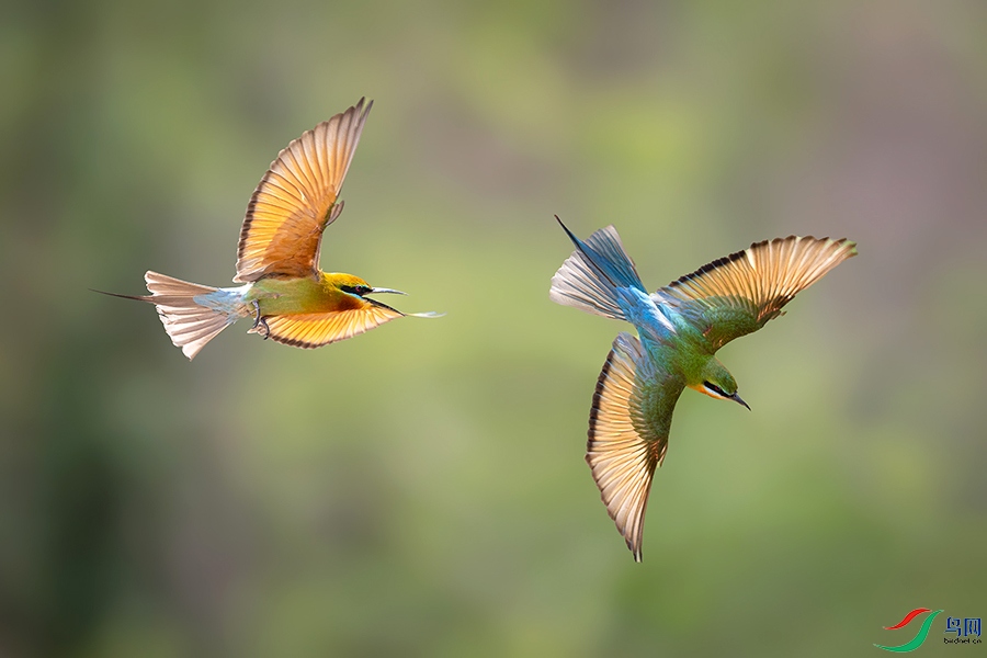 6H7A8152 ����.jpg