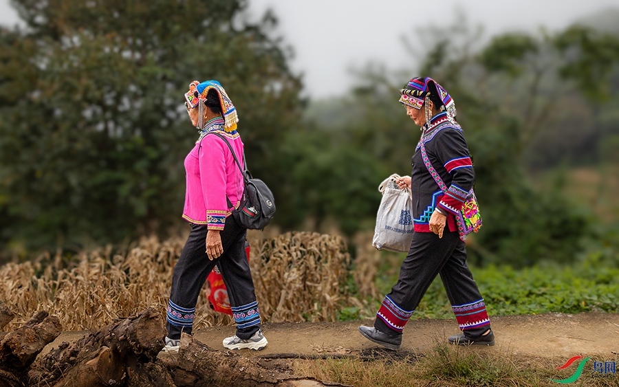 3V6A8842 ����.jpg