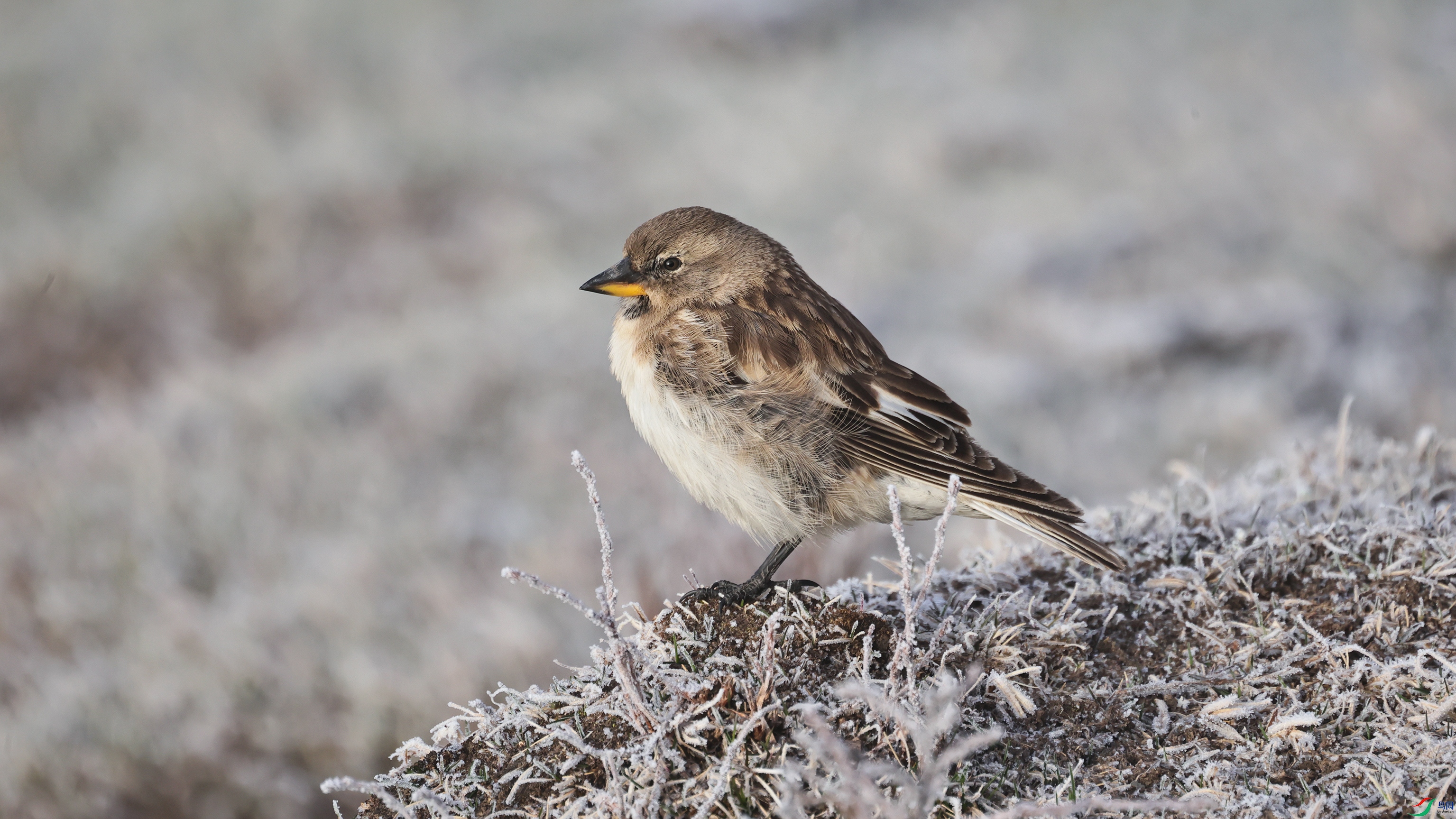 7X5A3727 ����44444.jpg