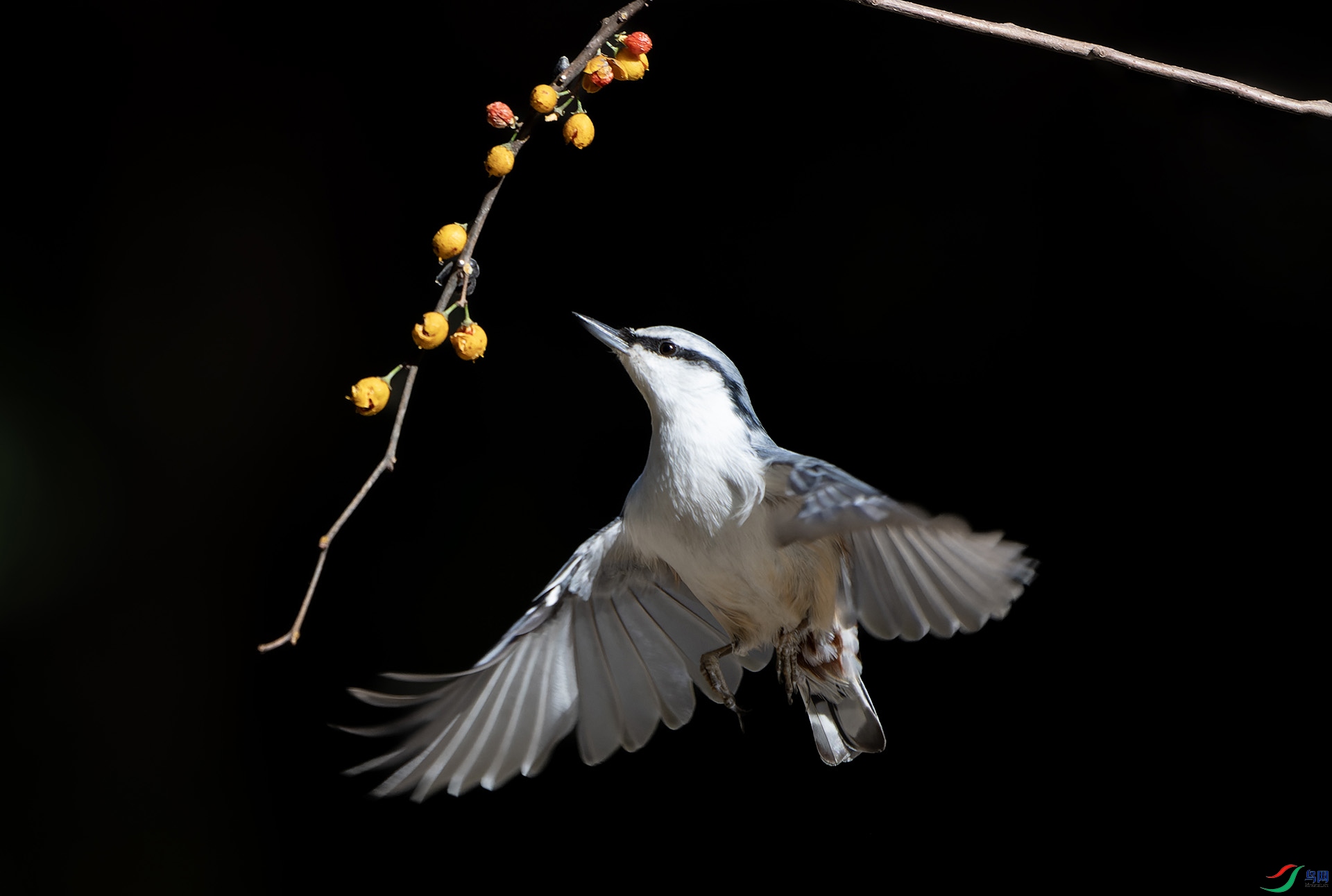 DSC01786-ARW_DxO_DeepPRIME ����.jpg