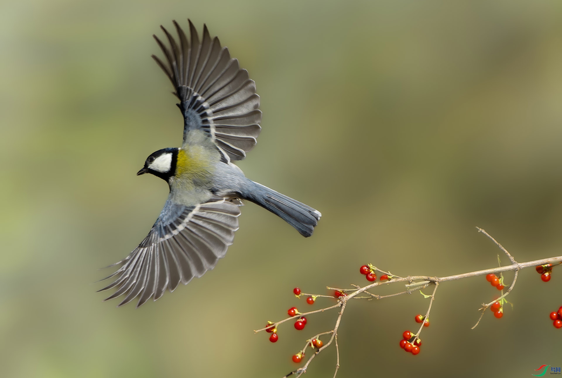 DSC02327-ARW_DxO_DeepPRIME ���� 2.jpg