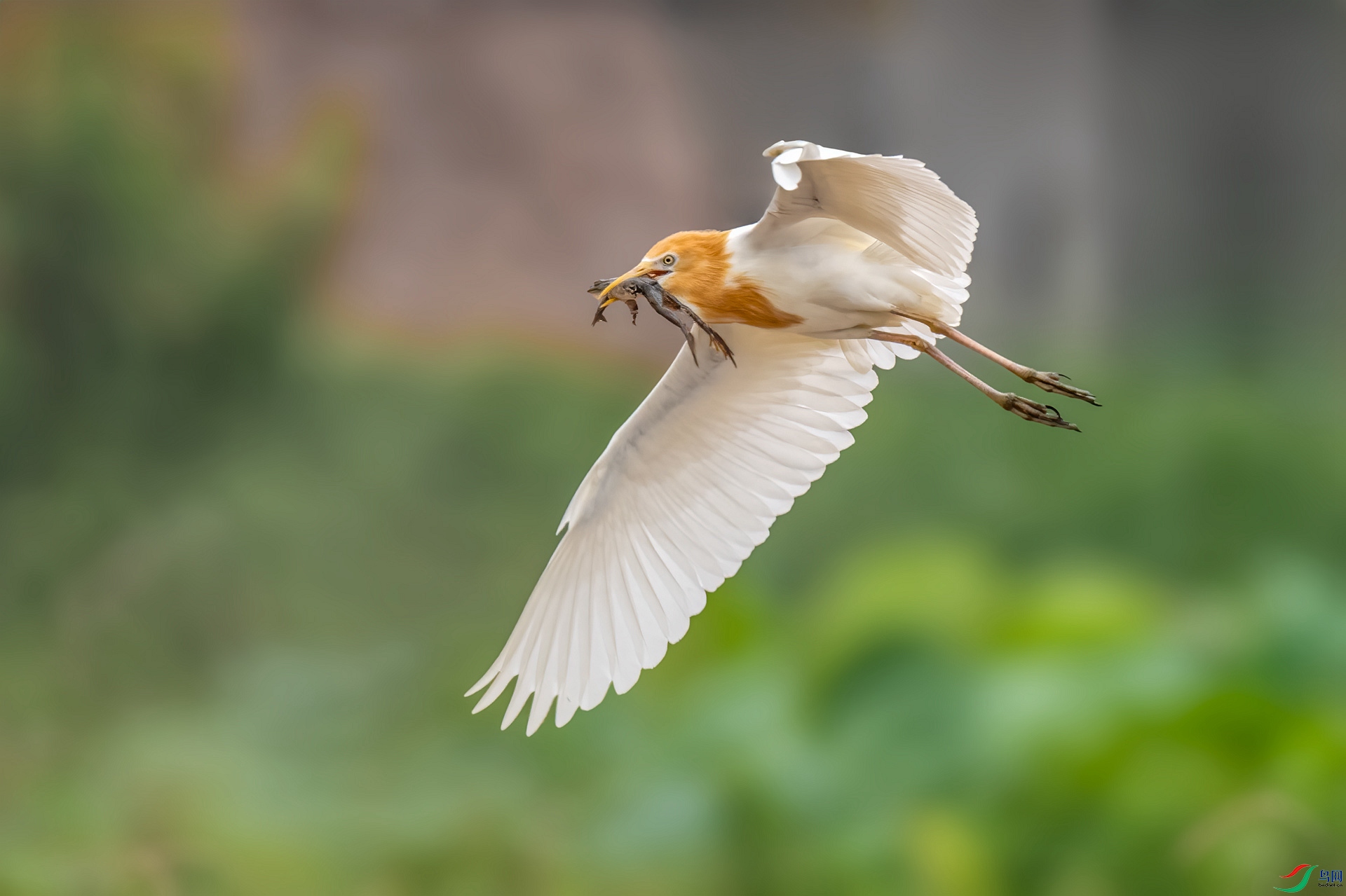 DSC_7163_����.jpg