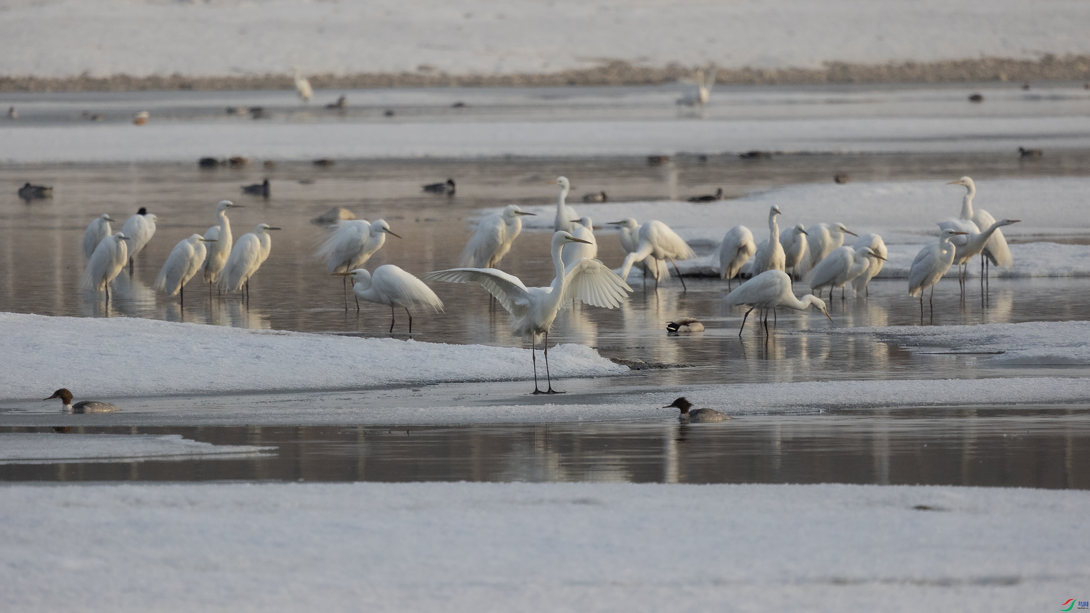 381A5872 ����4444.jpg