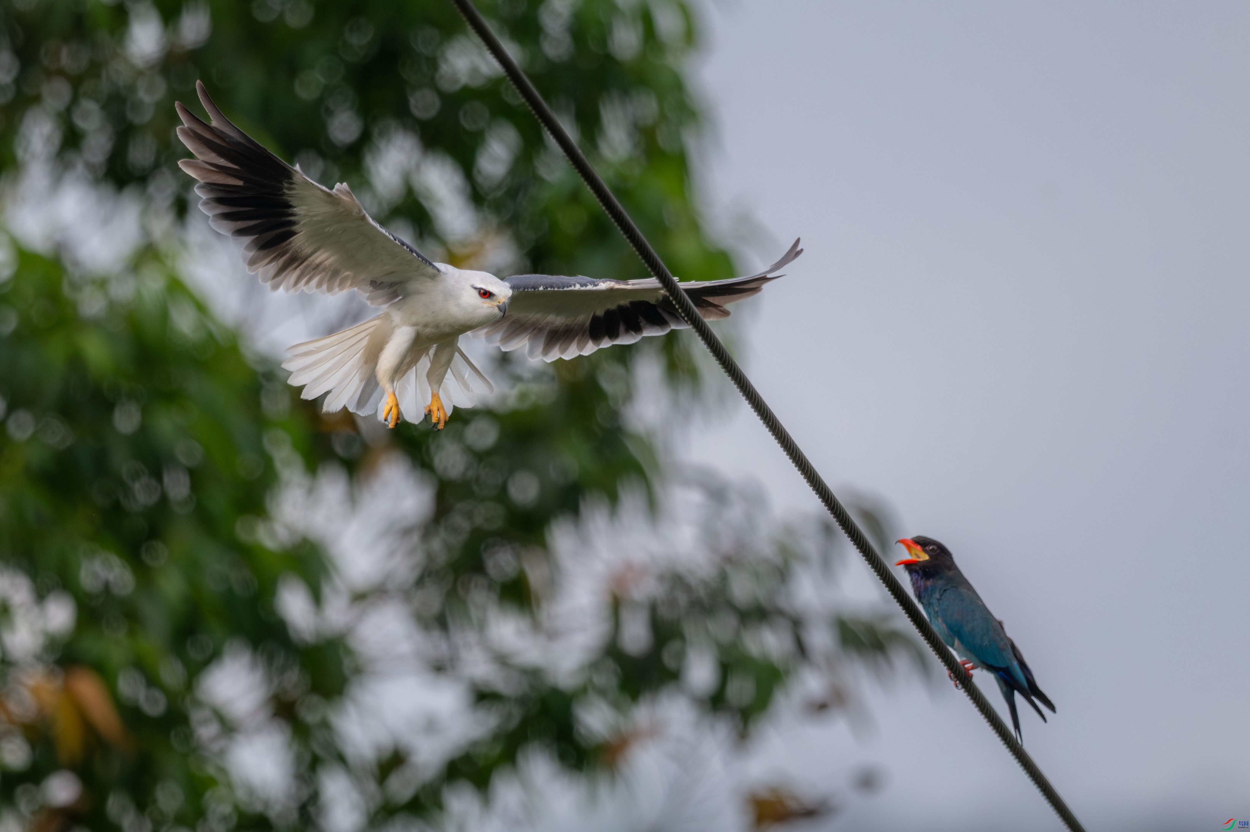 DSC_3589_1.JPG