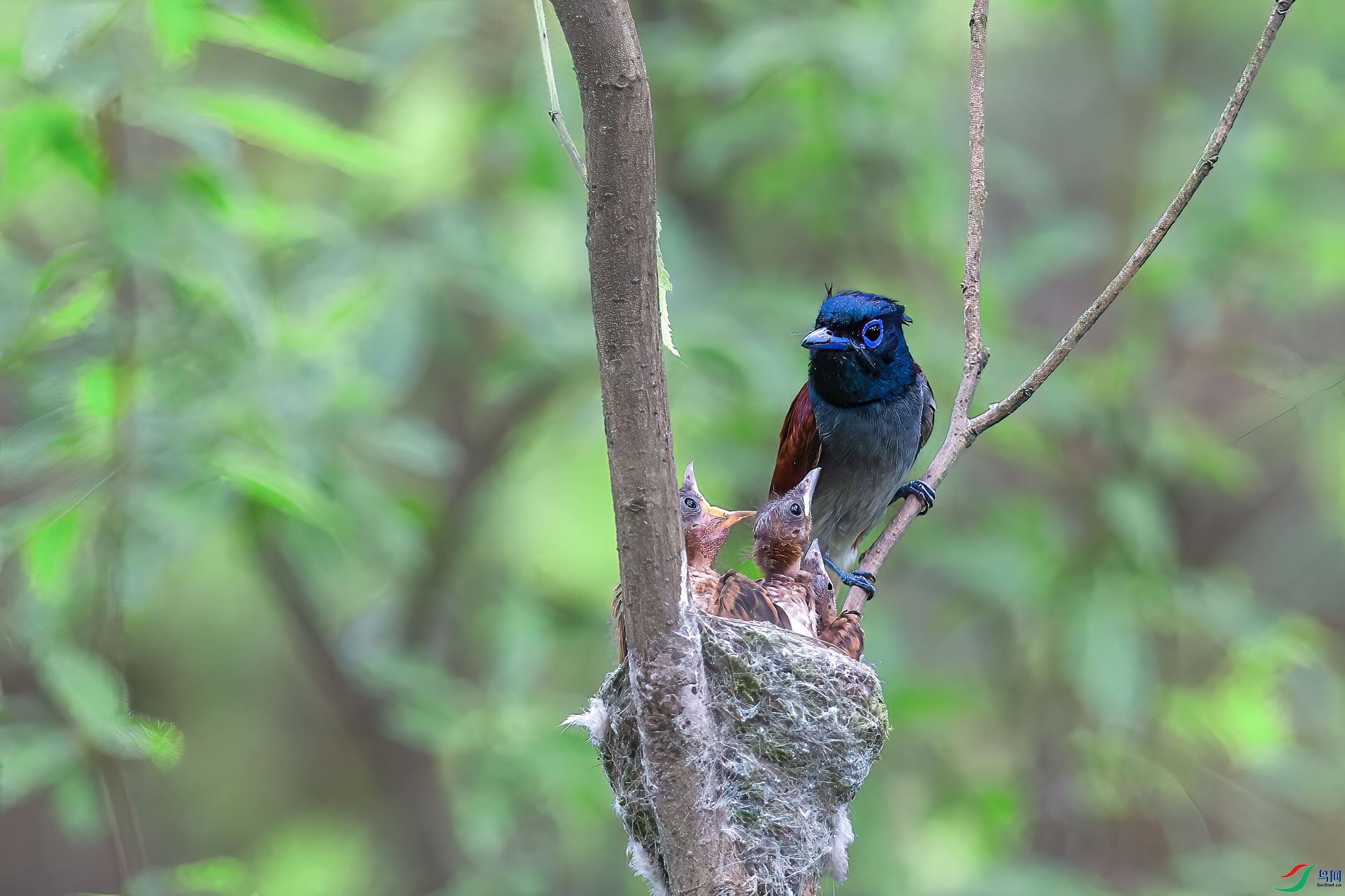 AQ4P0175-1.jpg