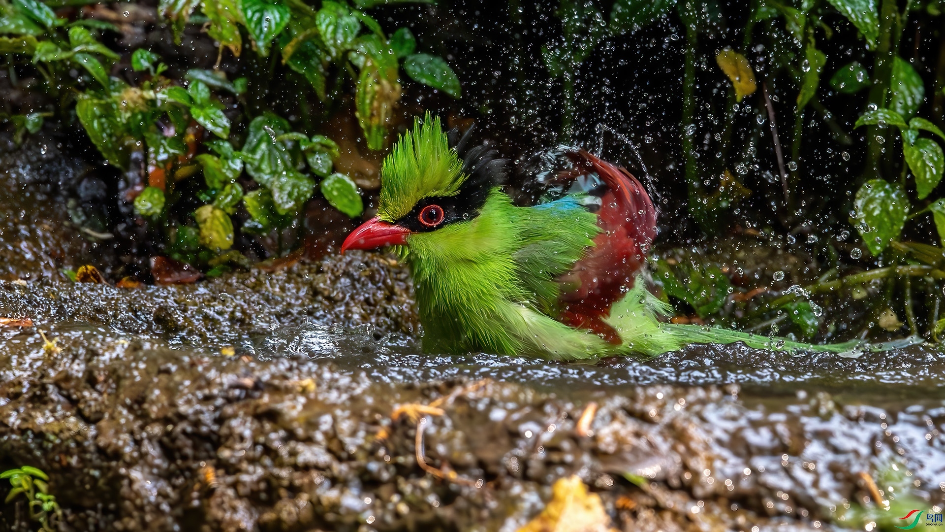 DSC_2888-����ǿ-NR.jpg