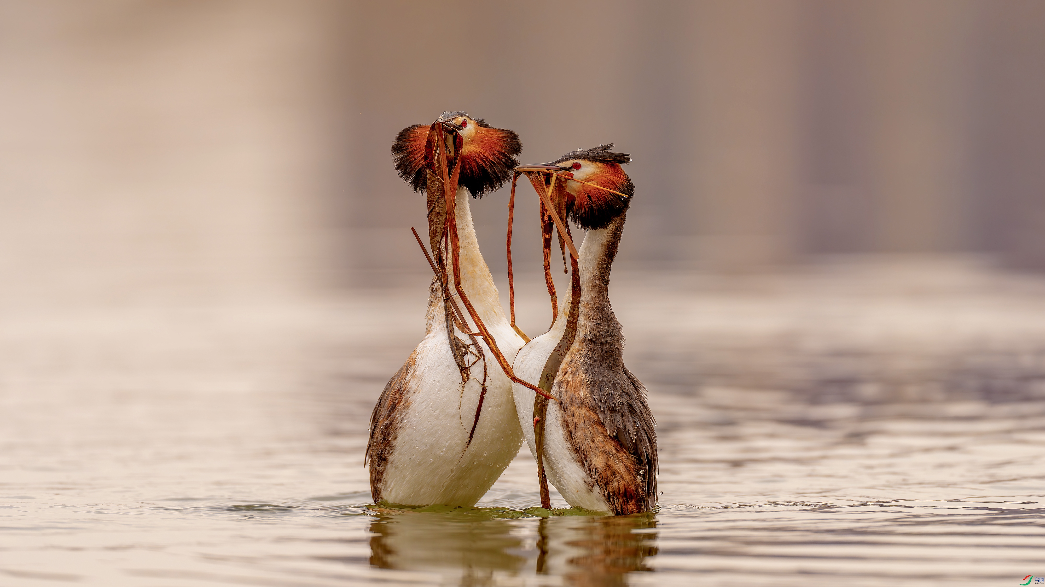 _DSC8114-.jpg