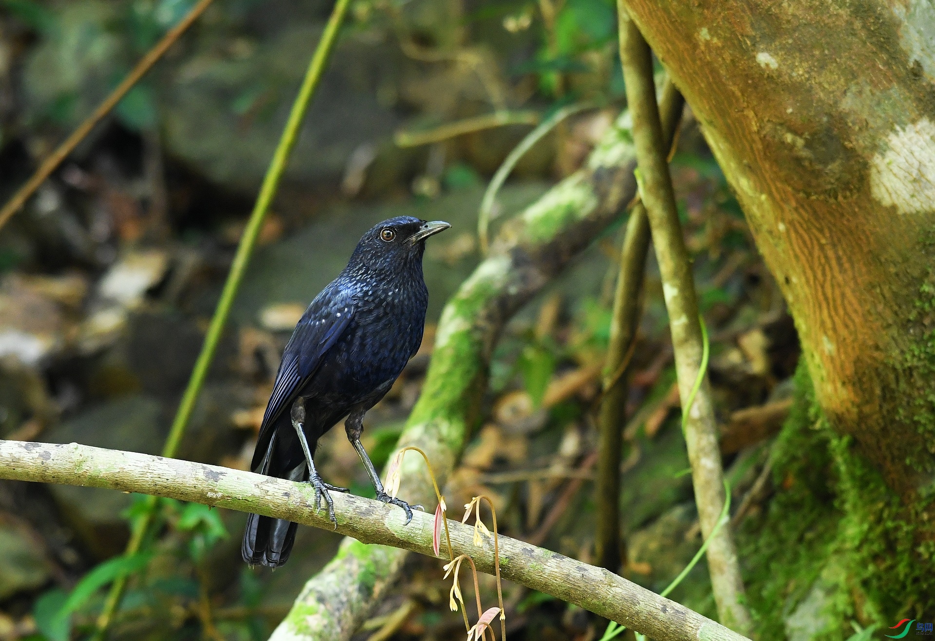 DSC_4900.jpg