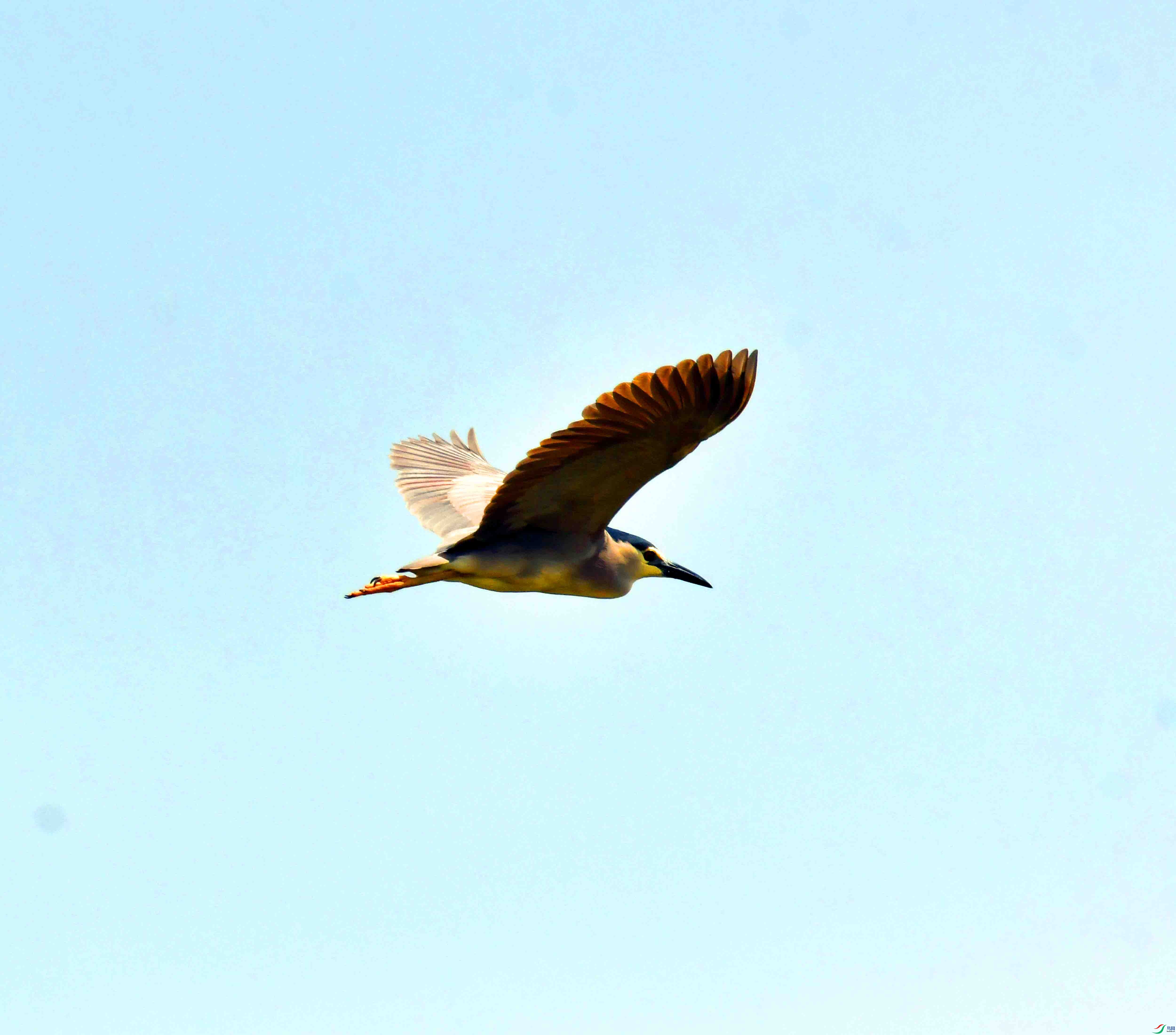 DSC_5122.JPG